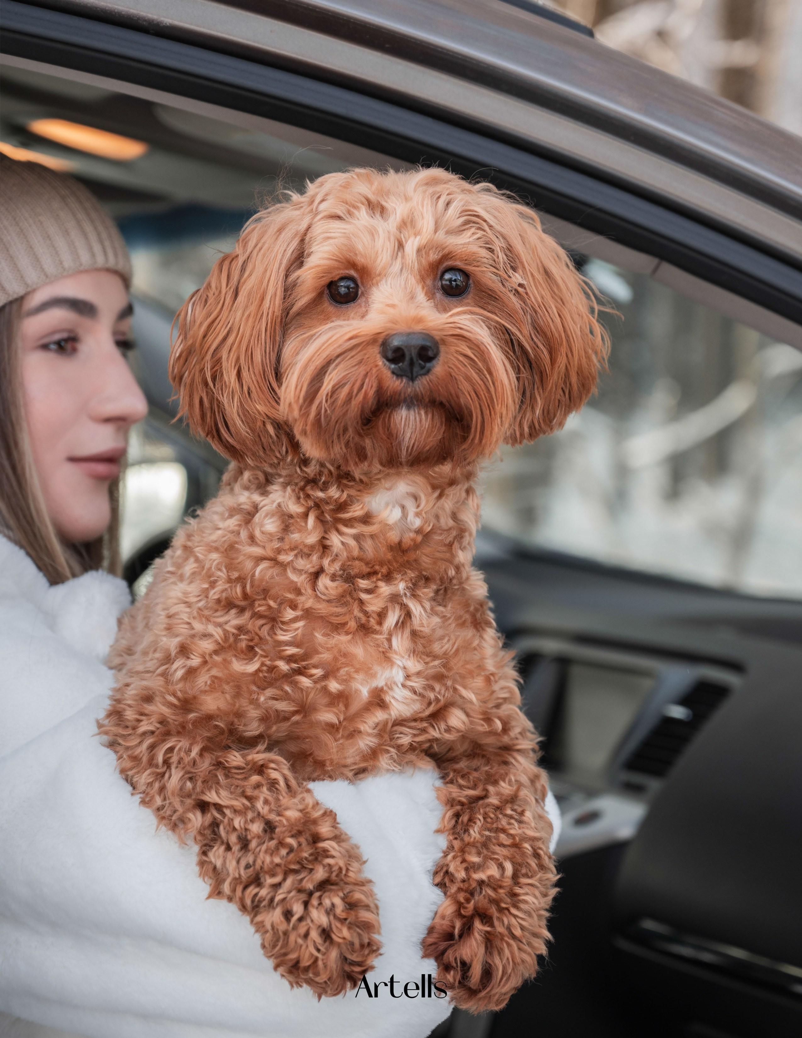 Публикации. Фотограф анималист