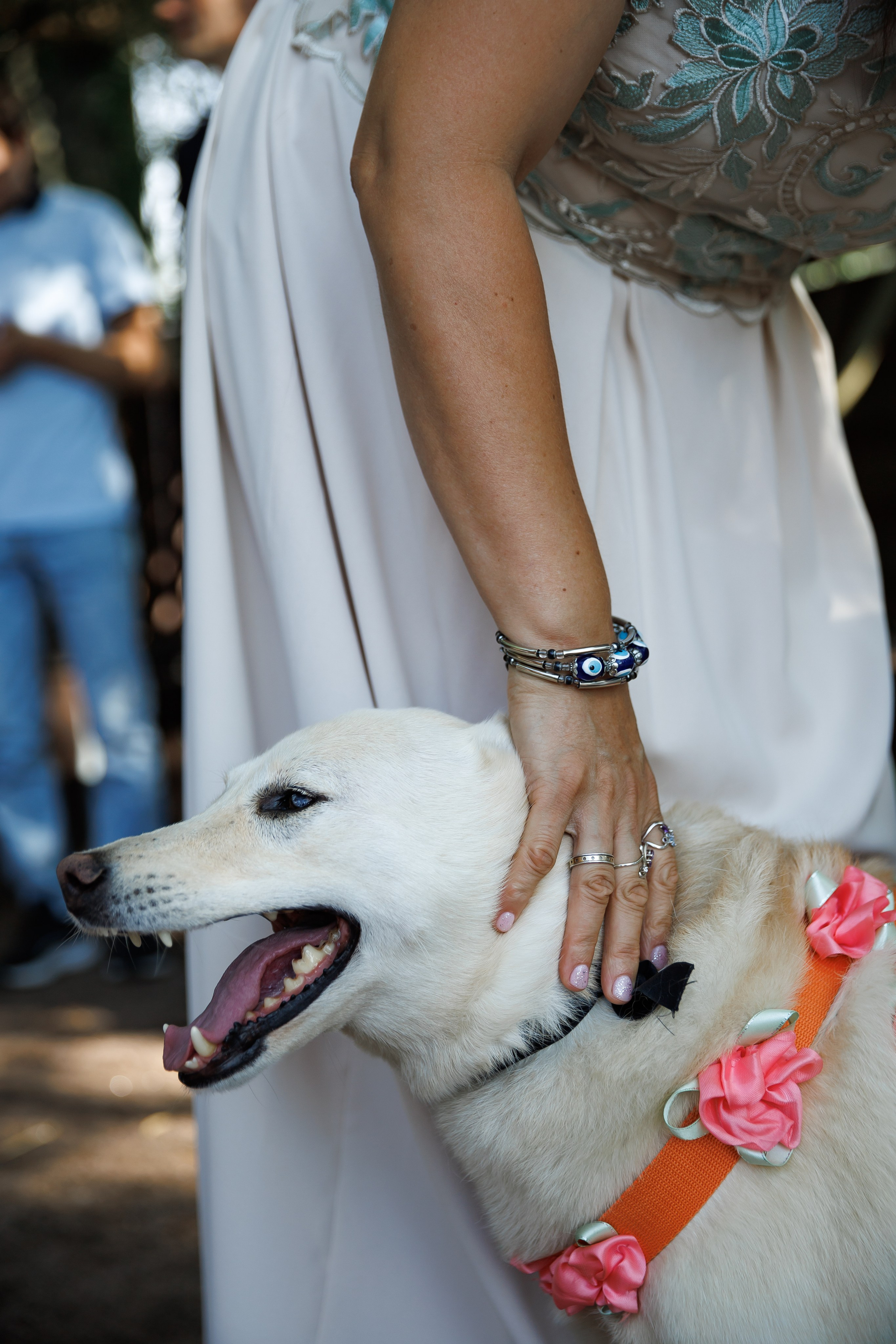 Саша и Виктор. Свадебный и семейный фотограф в Санкт-Петербурге Кирилл Шалагинов