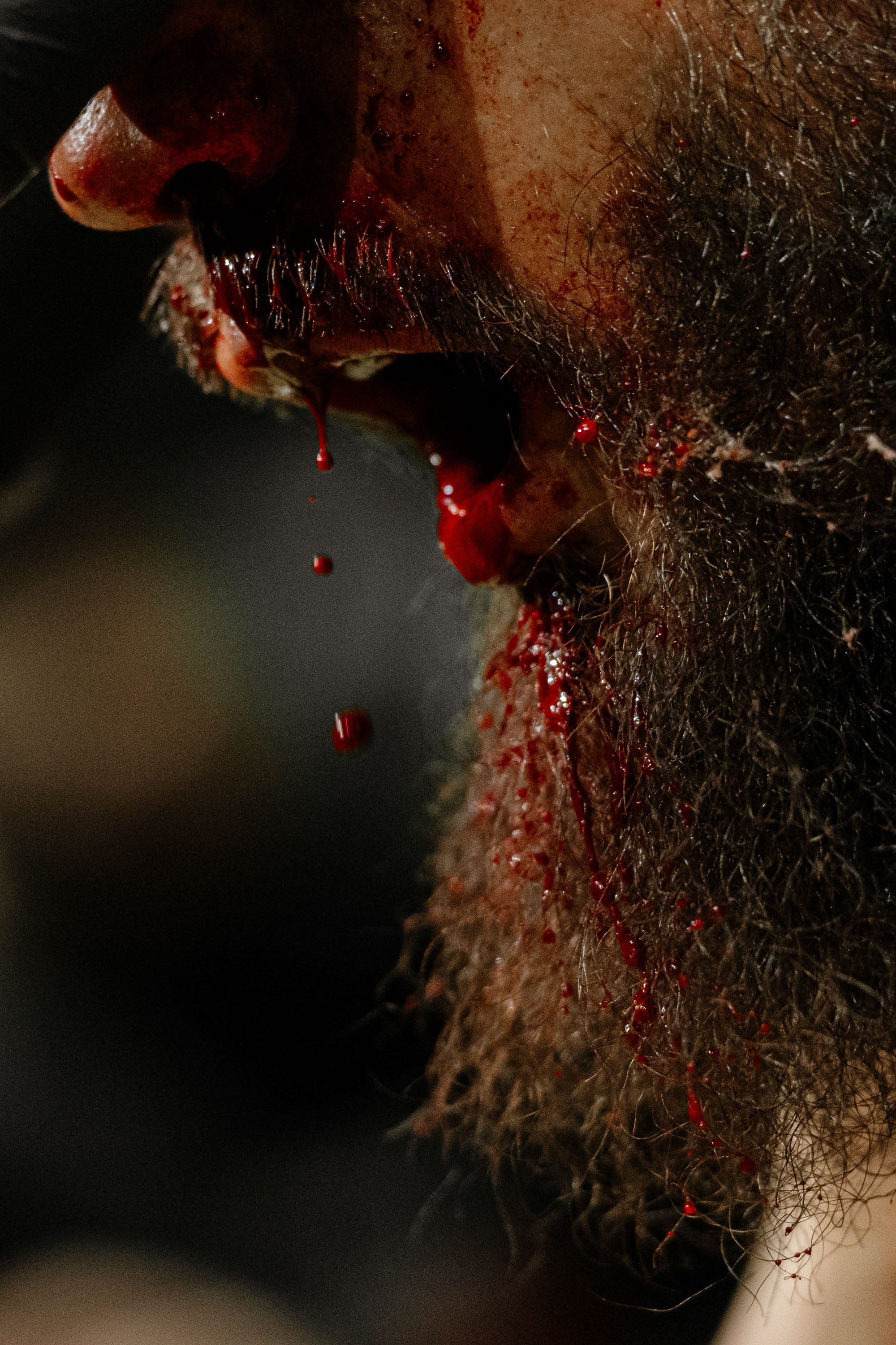 TOP DOG. Максим Комаров — Профессиональный фотограф