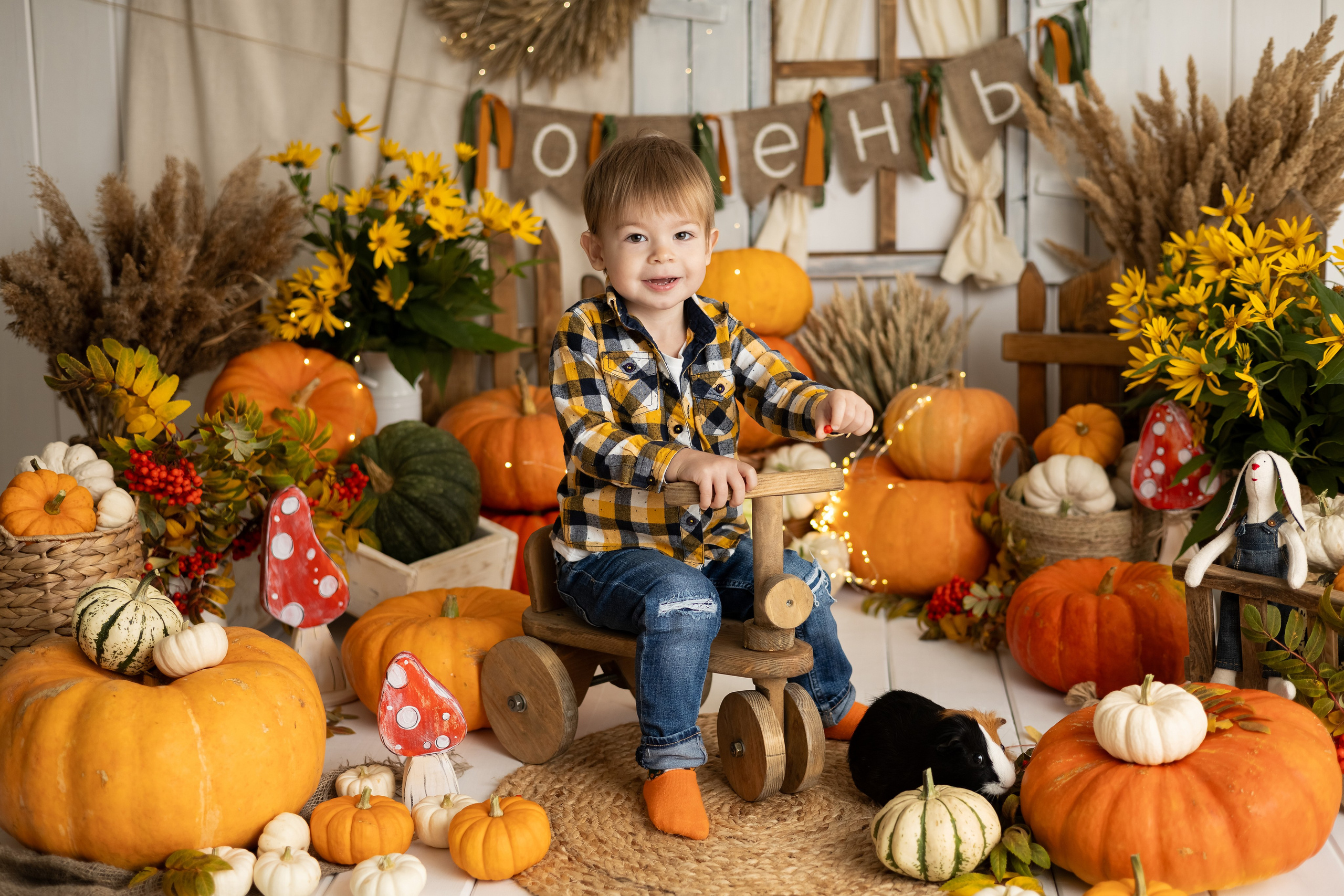 Тематические фотопроекты. Главная