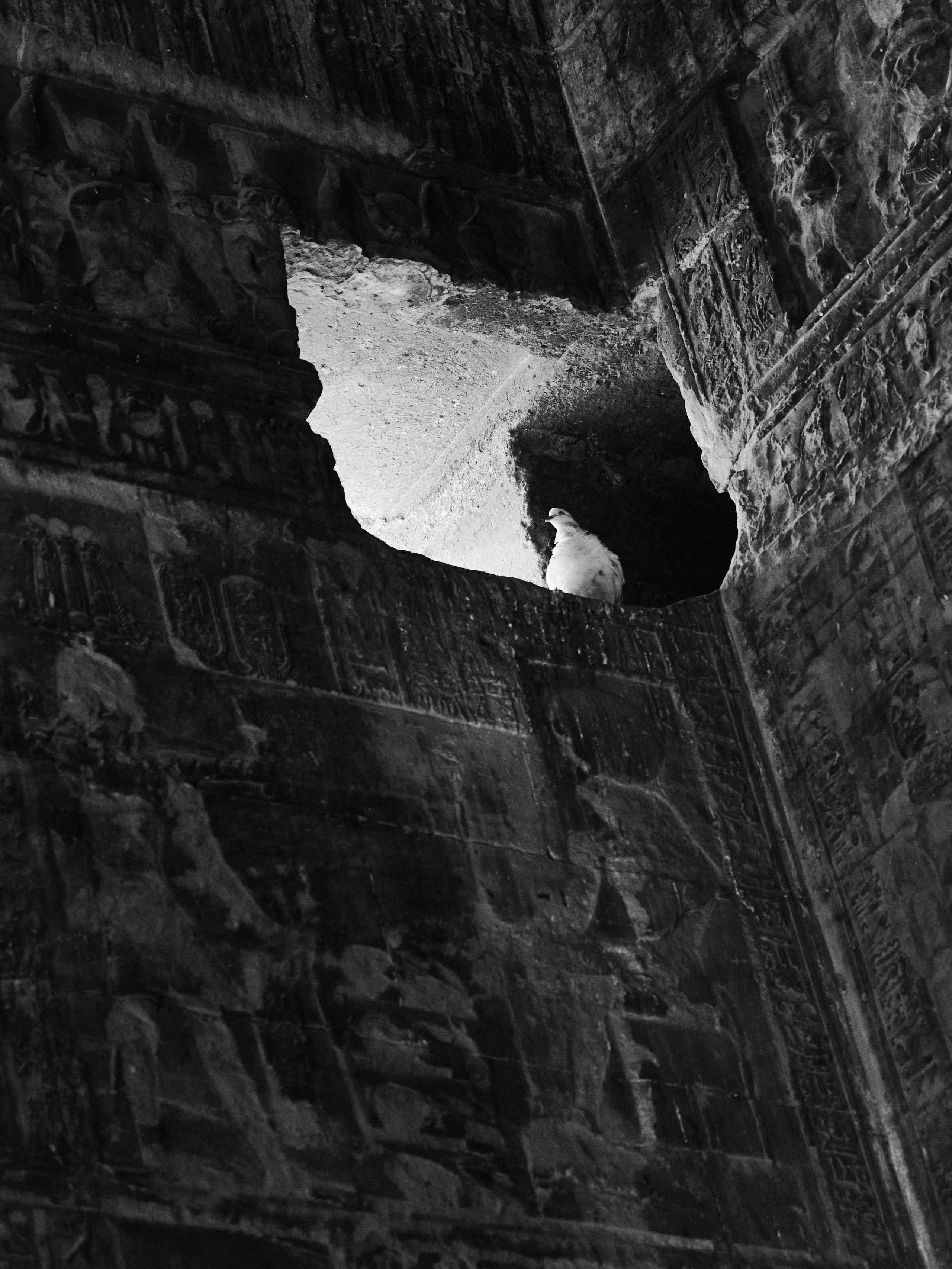 Другое 4. Jorgis — фотограф в Хургаде / обучение фотографии