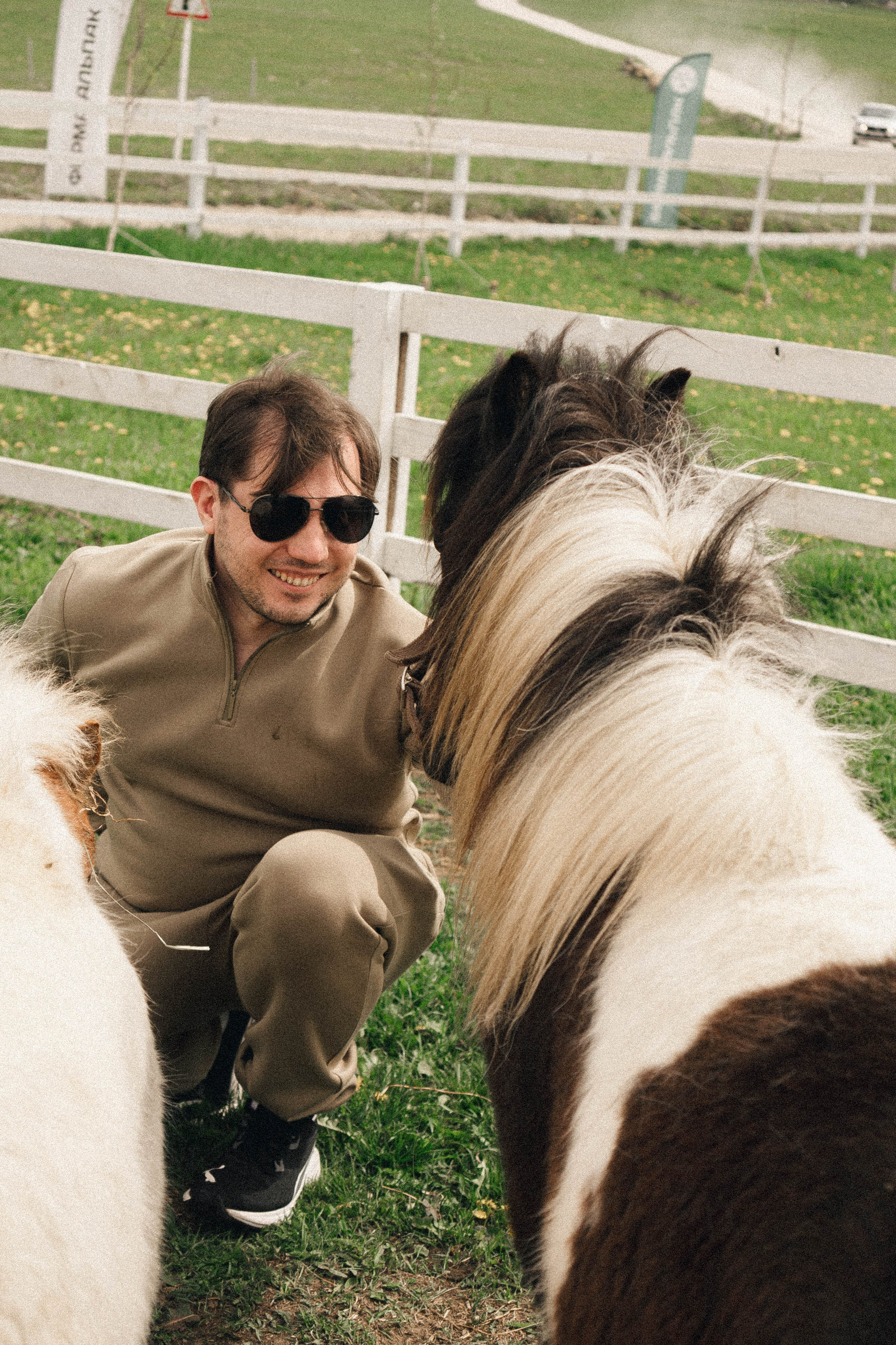 Ферма Альпак. Профессиональный фотограф, Санкт-Петербург — Виктория Богомолова