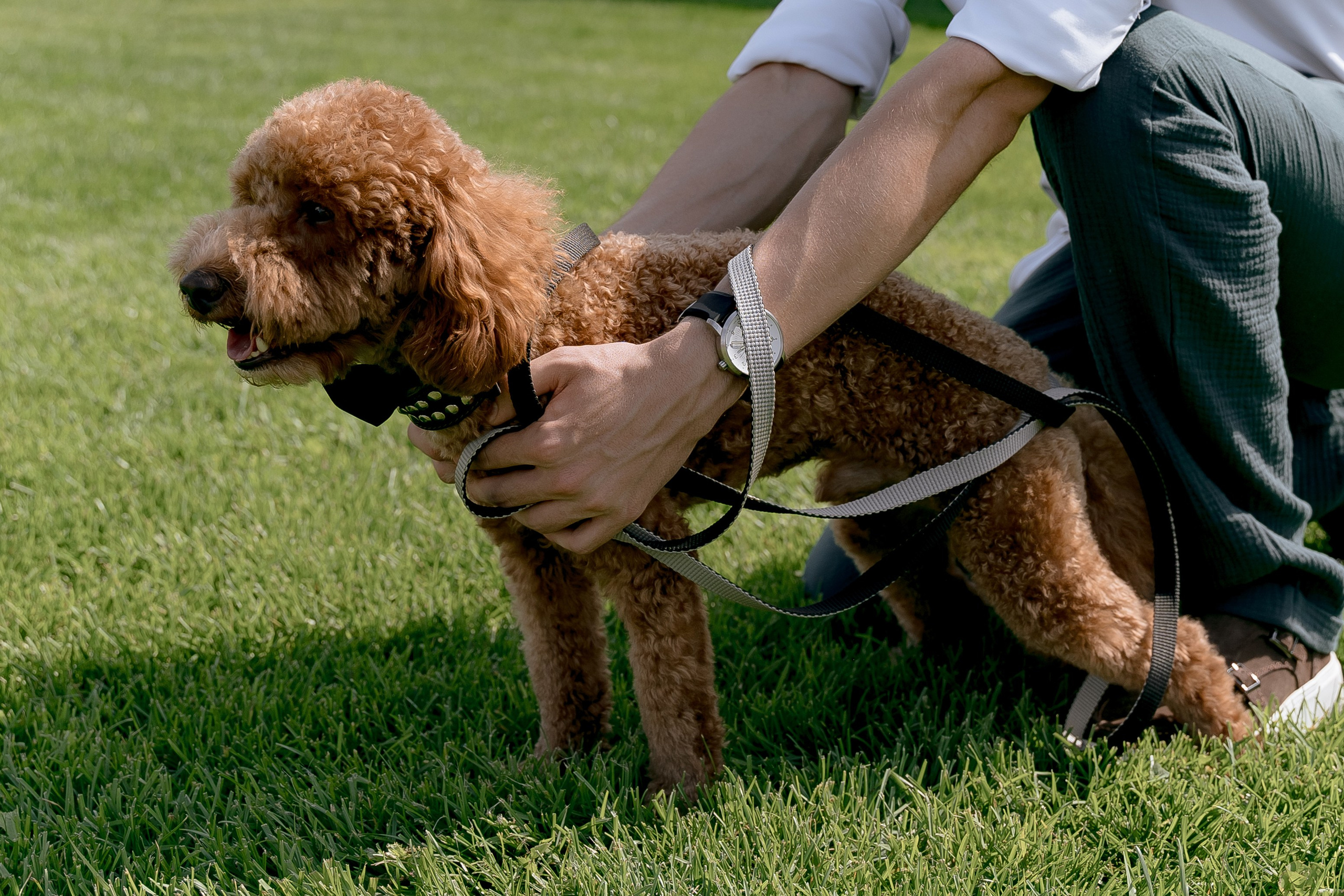 Вася & Настя. Свадебный фотограф Москва