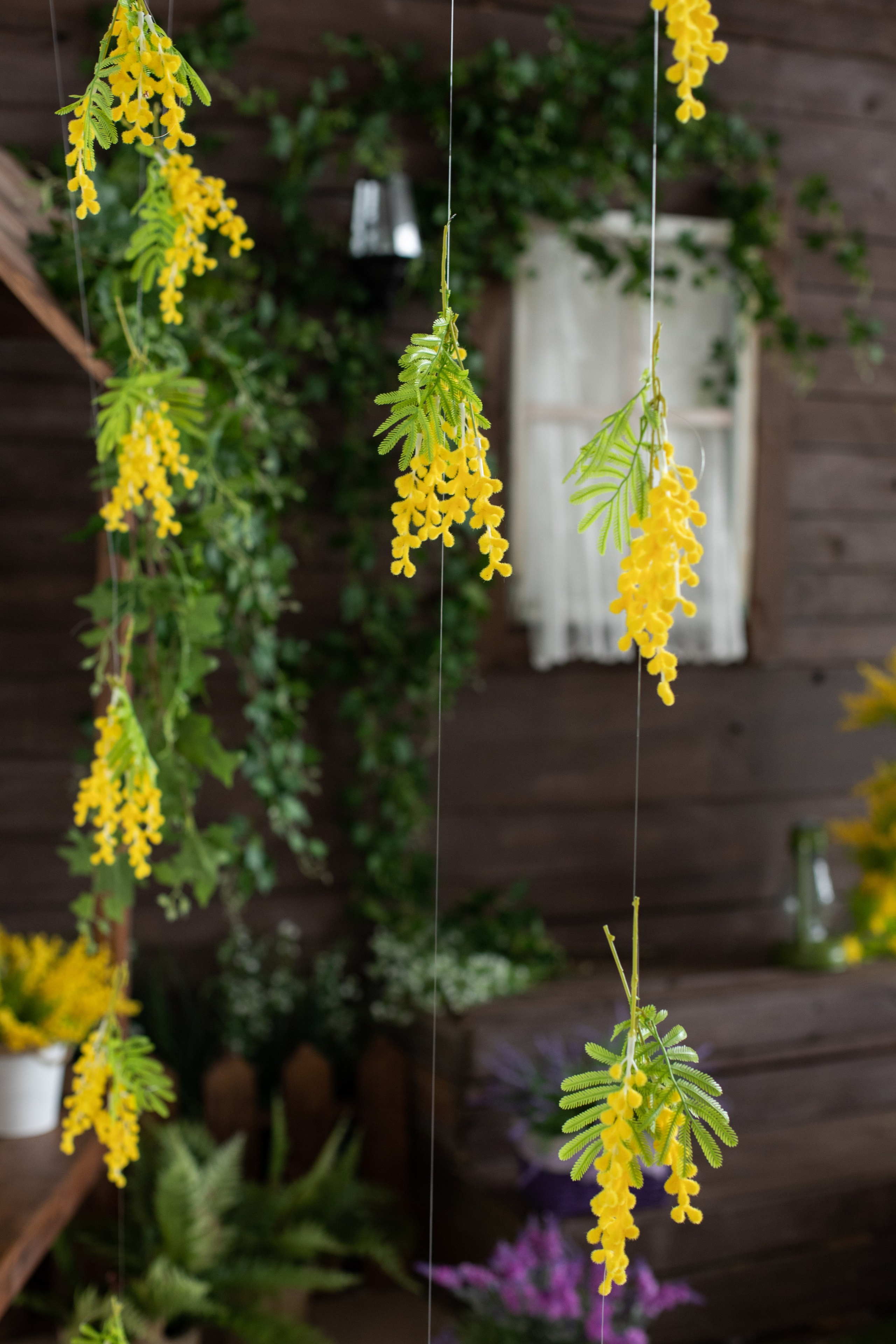 Буфет (студия Зеркало). Фотограф г. Хабаровск. Семейные и индивидуальные съёмки