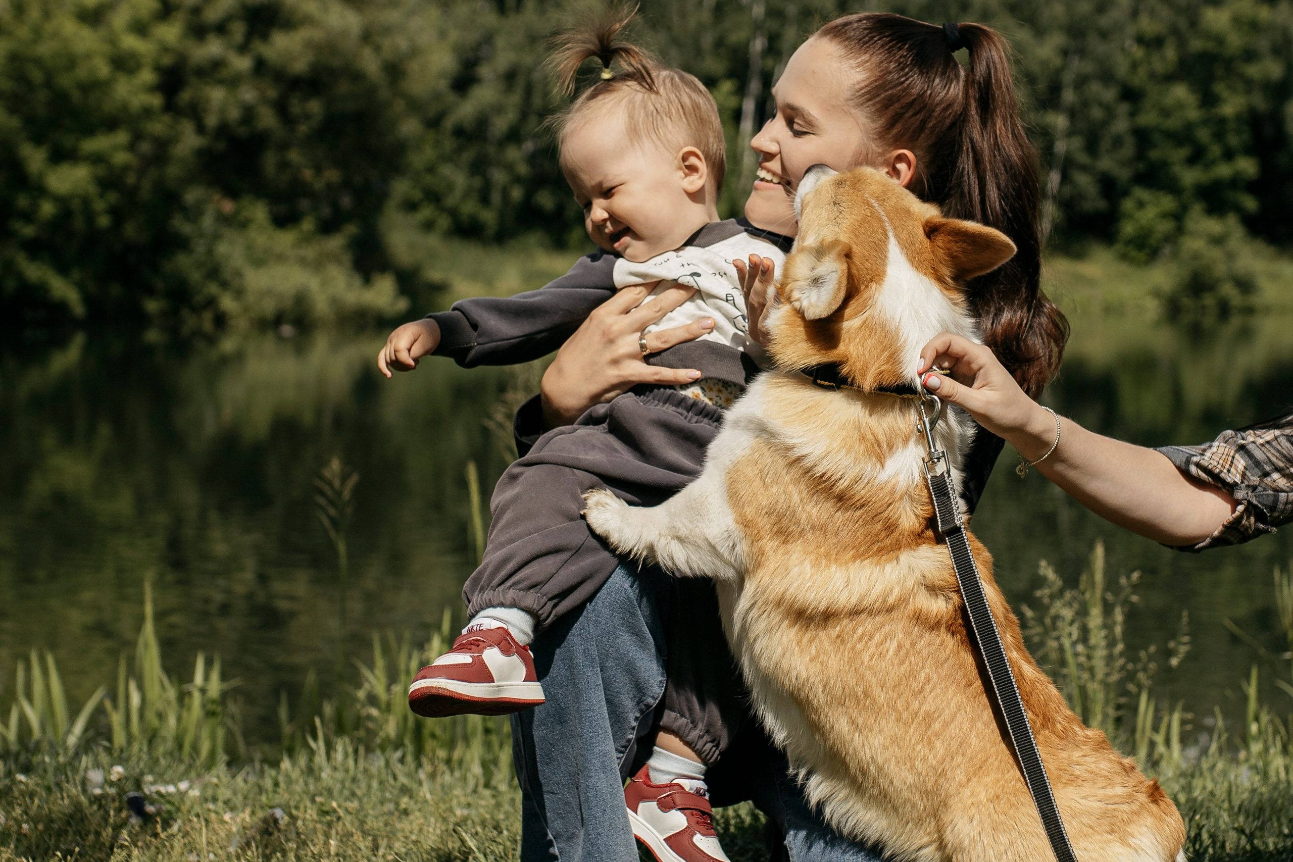 Прогулка с корги. Семейный и детский фотограф в Рязани Васюгова Мария