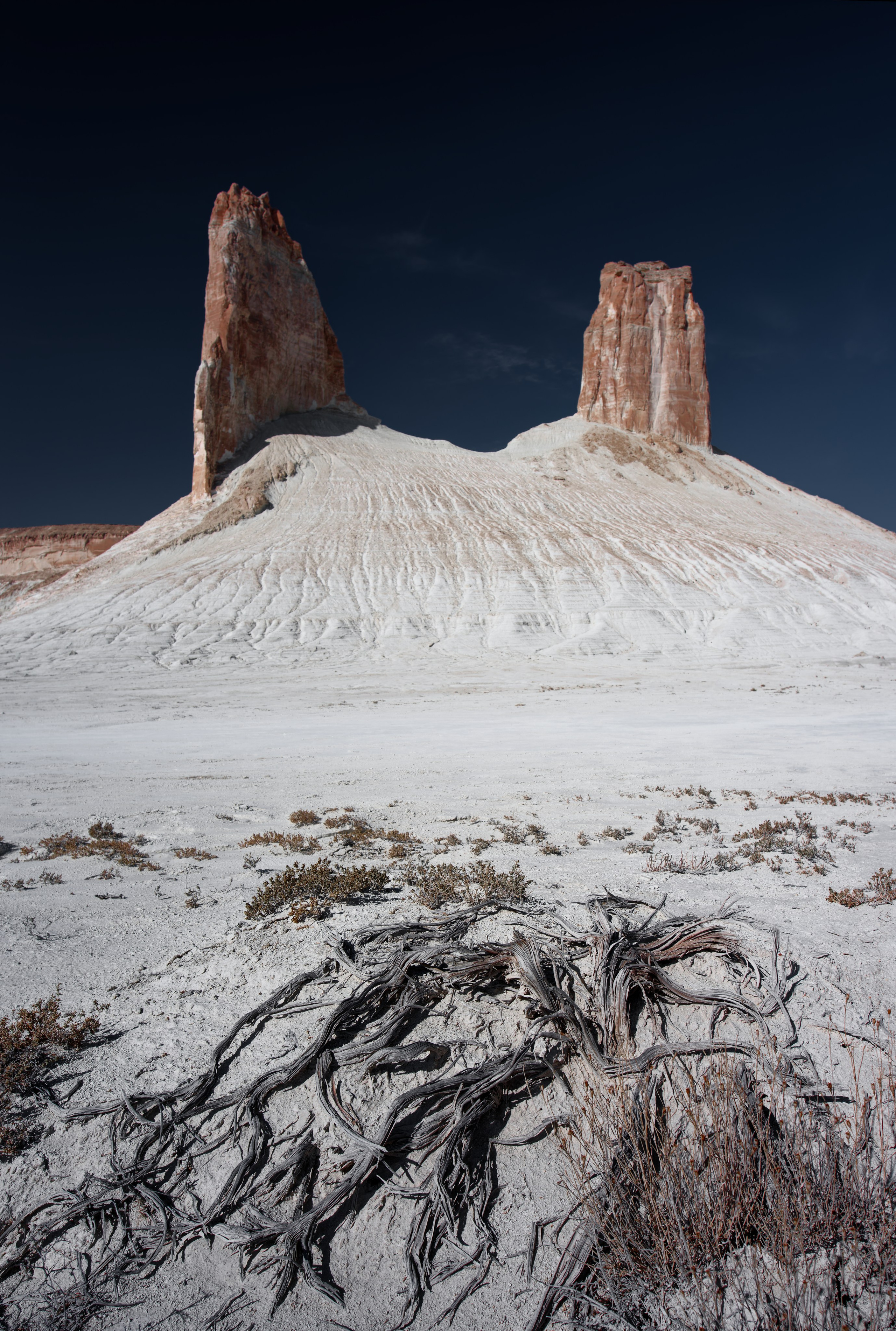 Вертикальные скалы на заднем плане и сухой куст на переднем