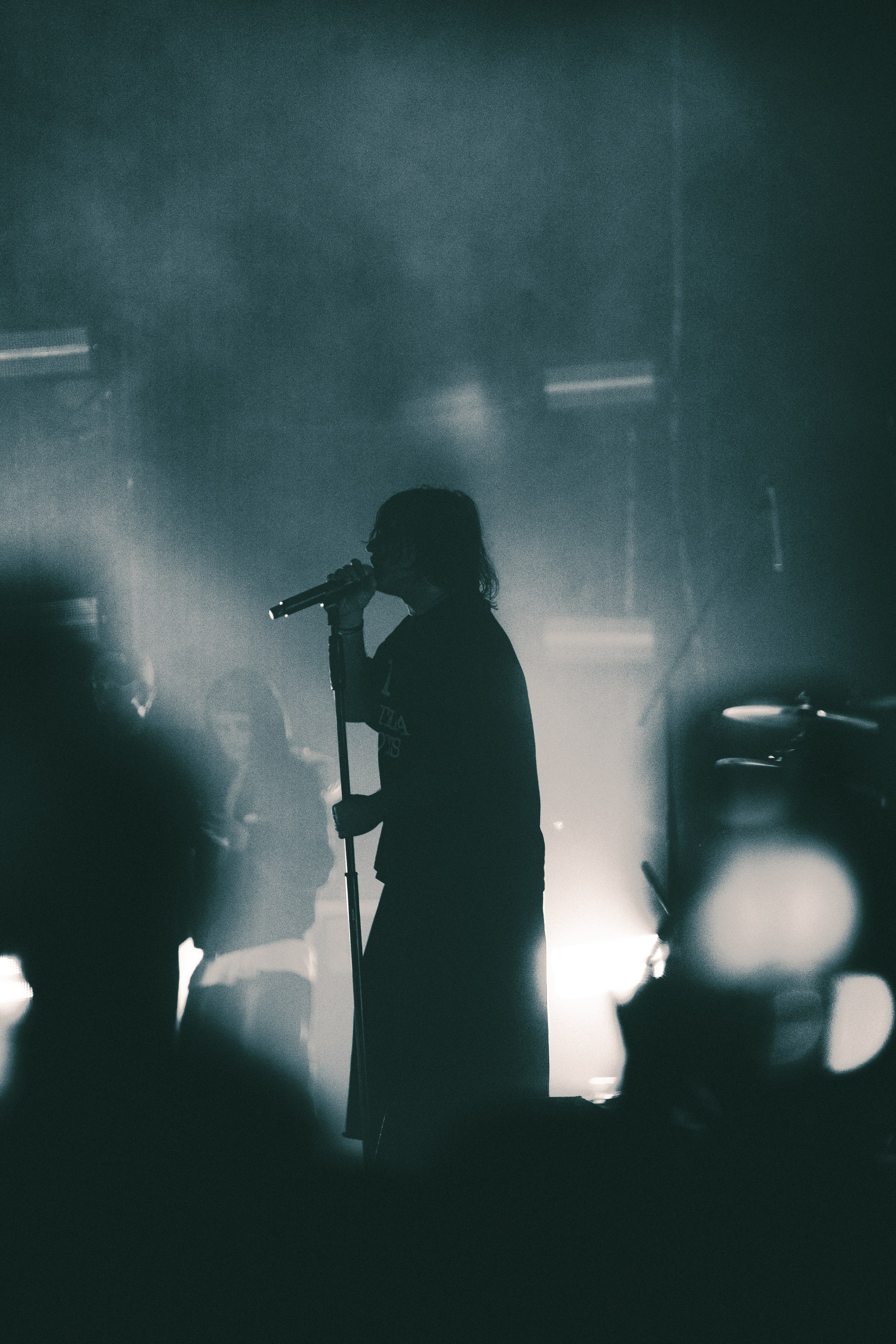 SALUKI. PASHAHARCE PHOTOGRAPHER & VIDEOGRAPHER