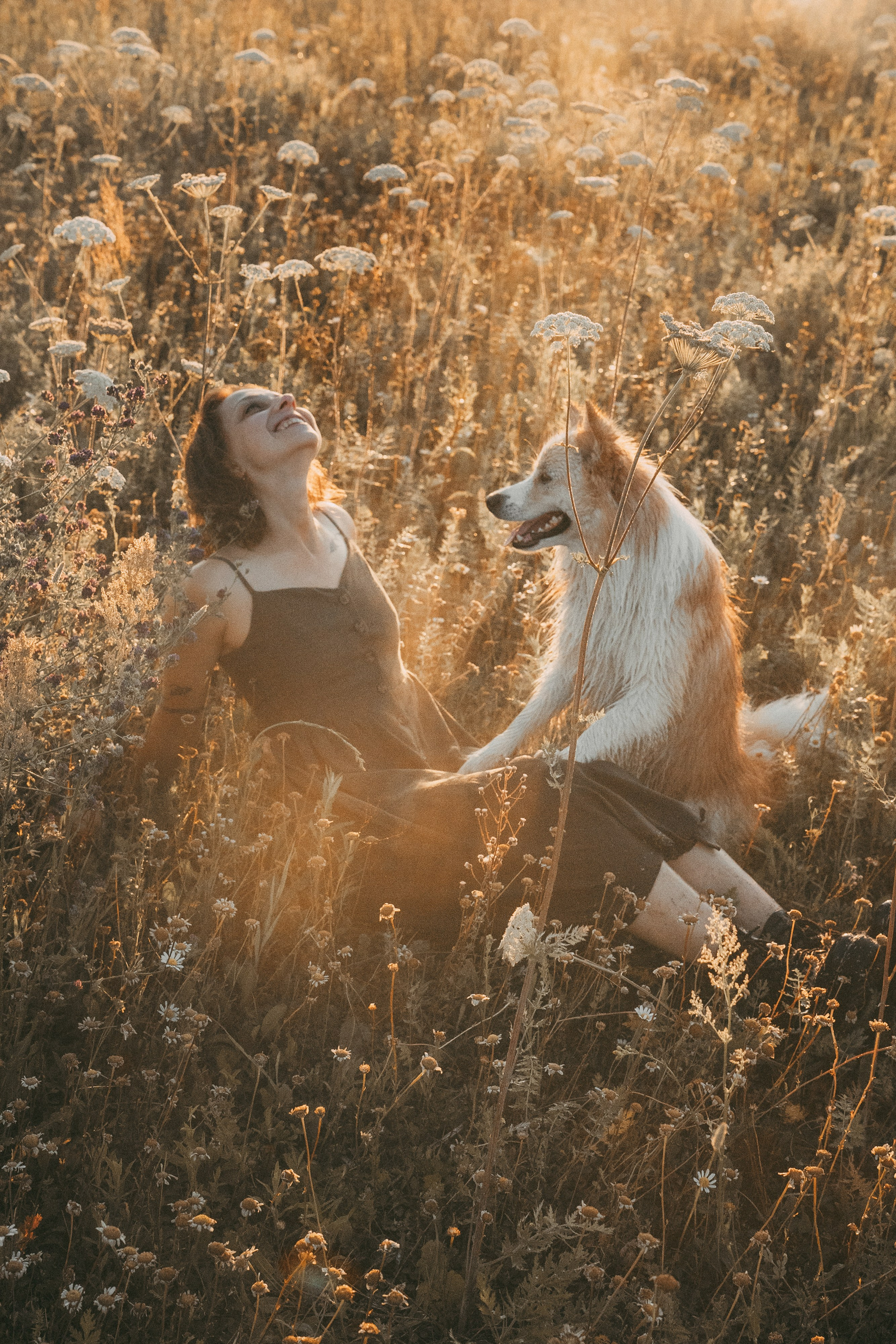 Рина и Марси. Фотограф анималист в Москве и Санкт-Петербурге Свиридова Анна