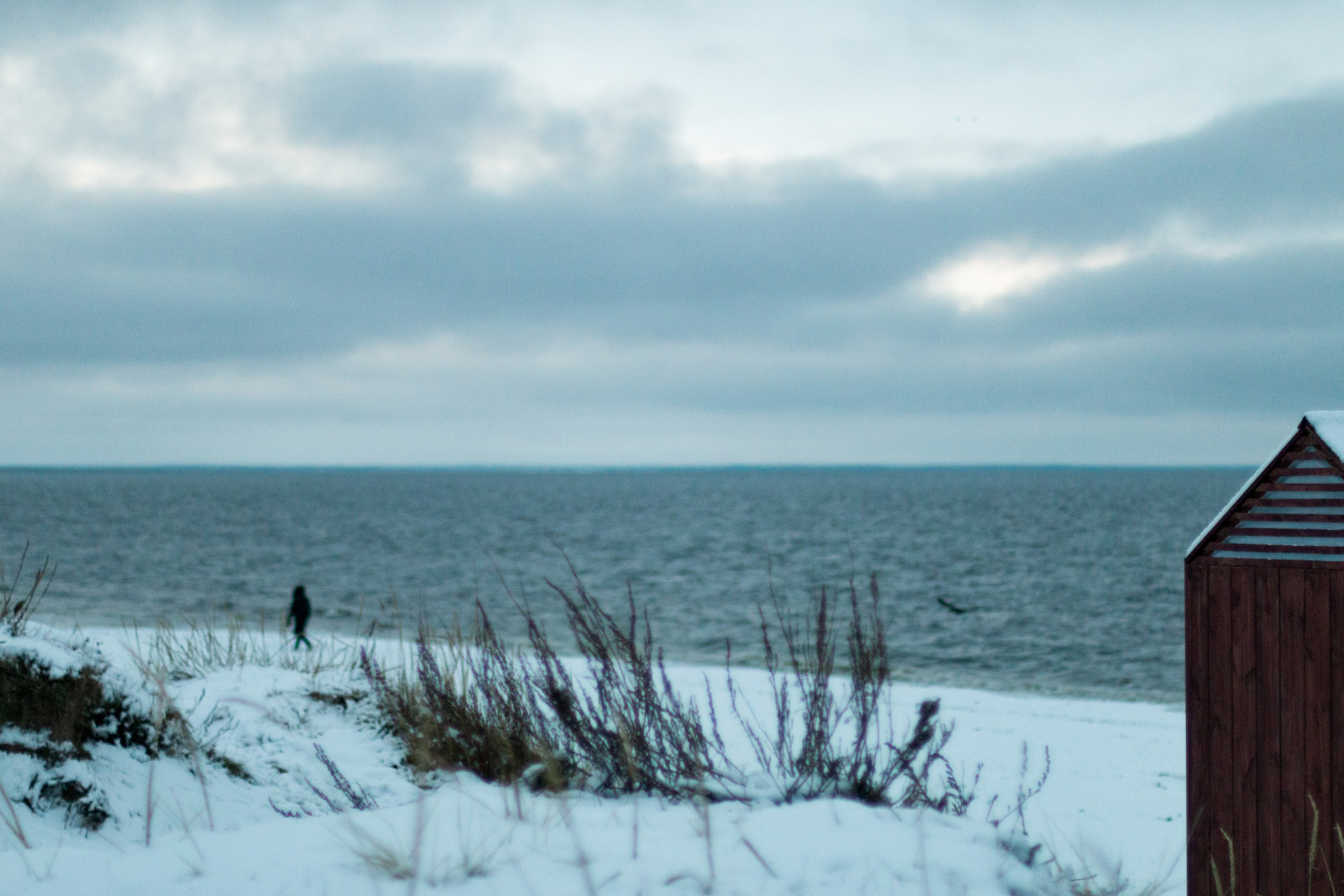 Русский север, Белое море, Архангельск. Фотограф в Сочи