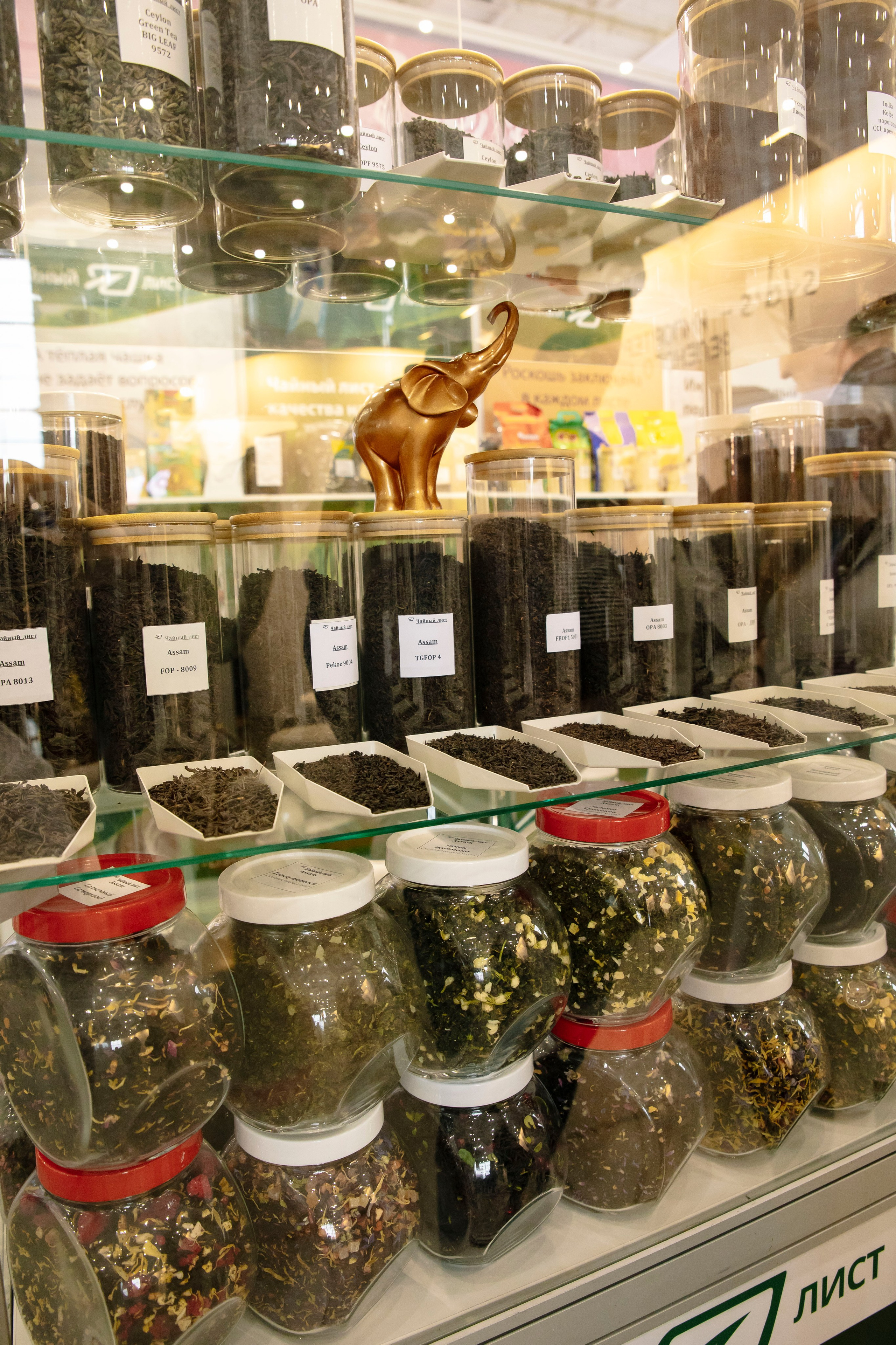 Выставка Coffee Tea Cacao Expo + HORECA Expo 2026, Тимирязев Центр. Профессиональный фотограф в Москве | Заказать фотосессию и съемку