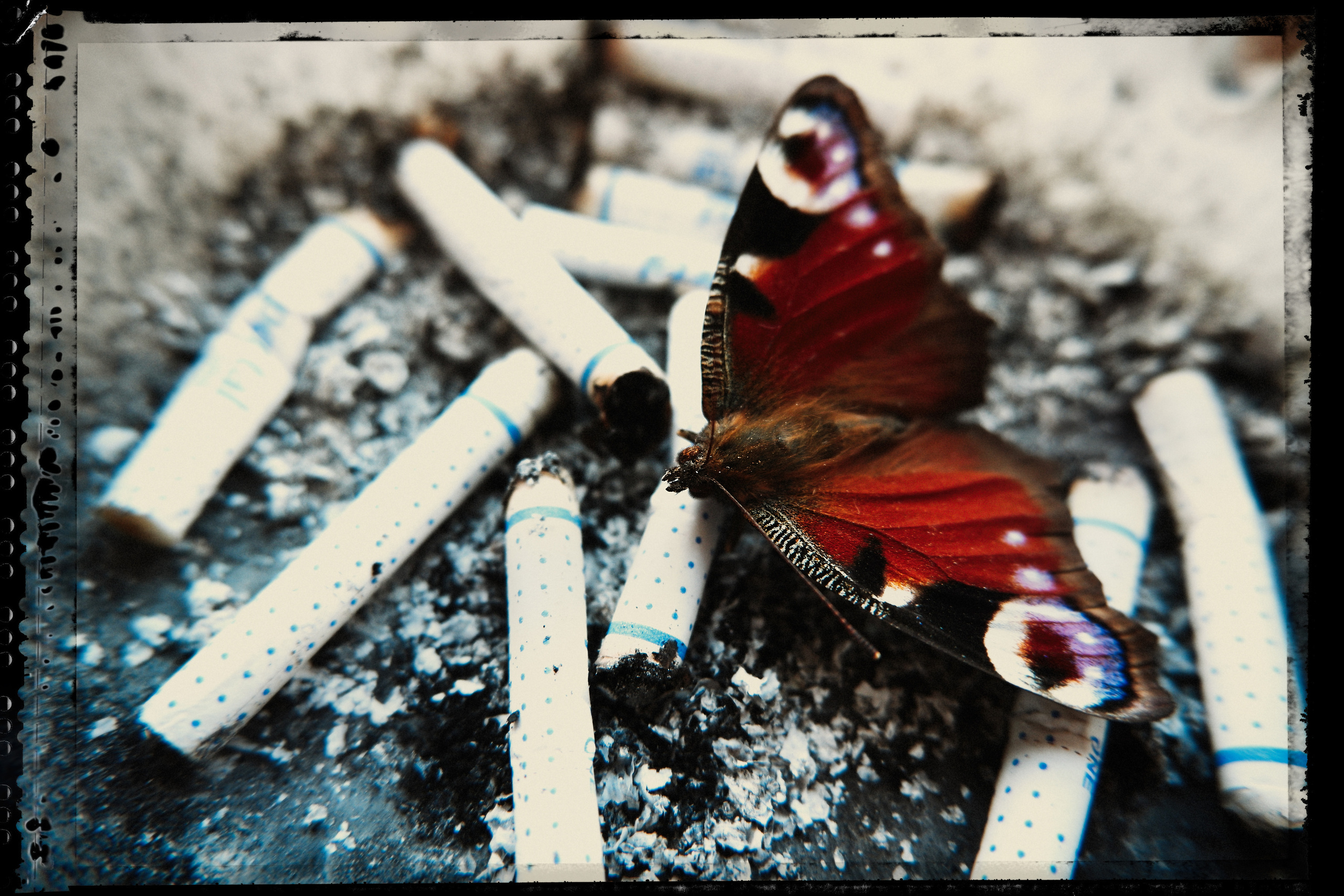 Фотокартины в Гомеле, картины в Гомеле, сюрреализм, минимализм