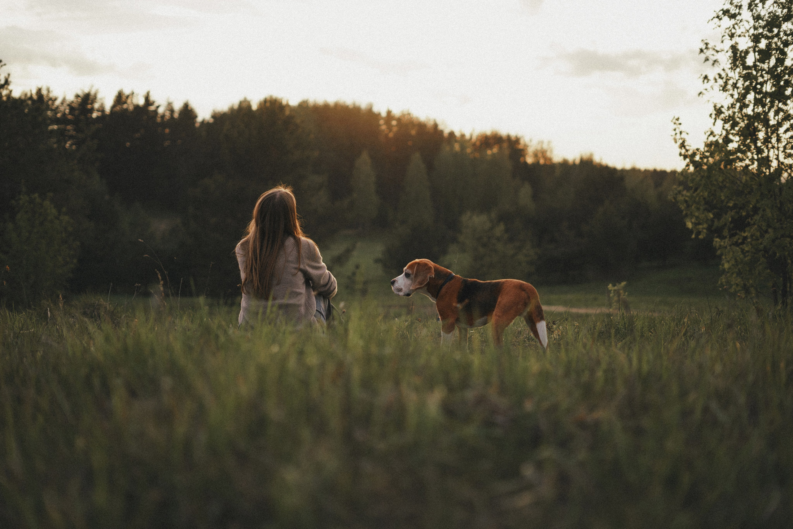 Юля и Зайфер. Фотограф анималист Осипчикова Мария