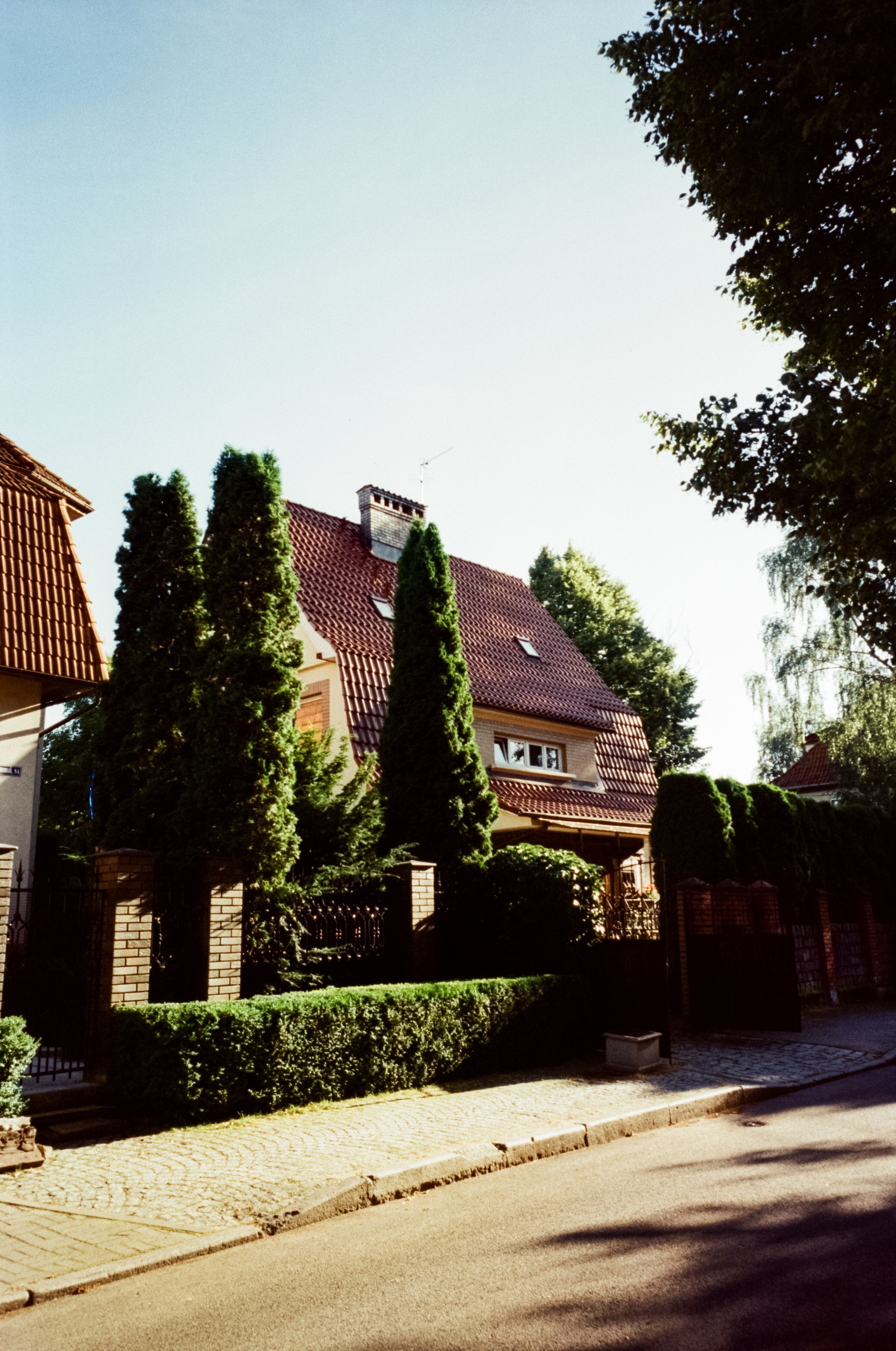 Прогулка от Площади Победы к Amalienau в golden hour. Фотограф-документалист Мария Осокина