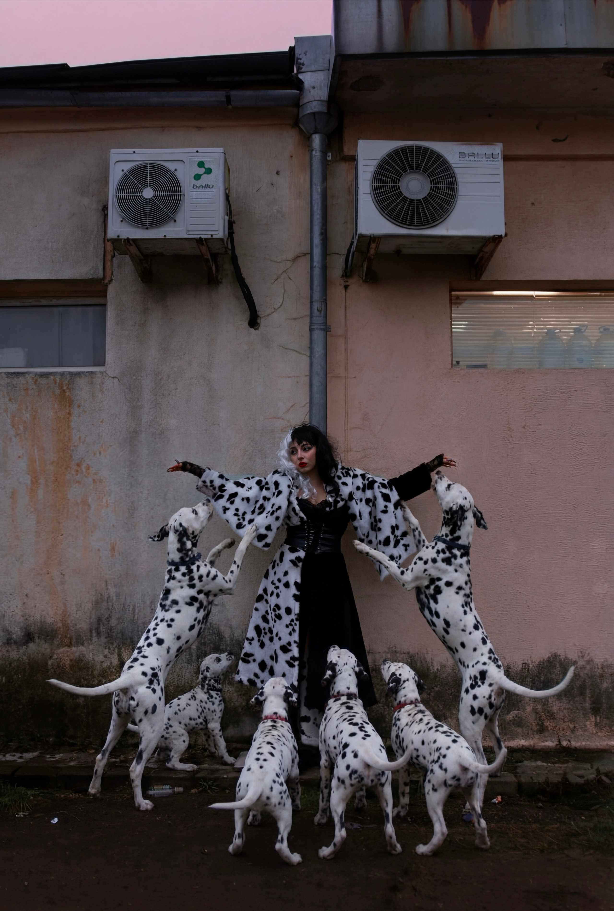 Круэлла: современная версия