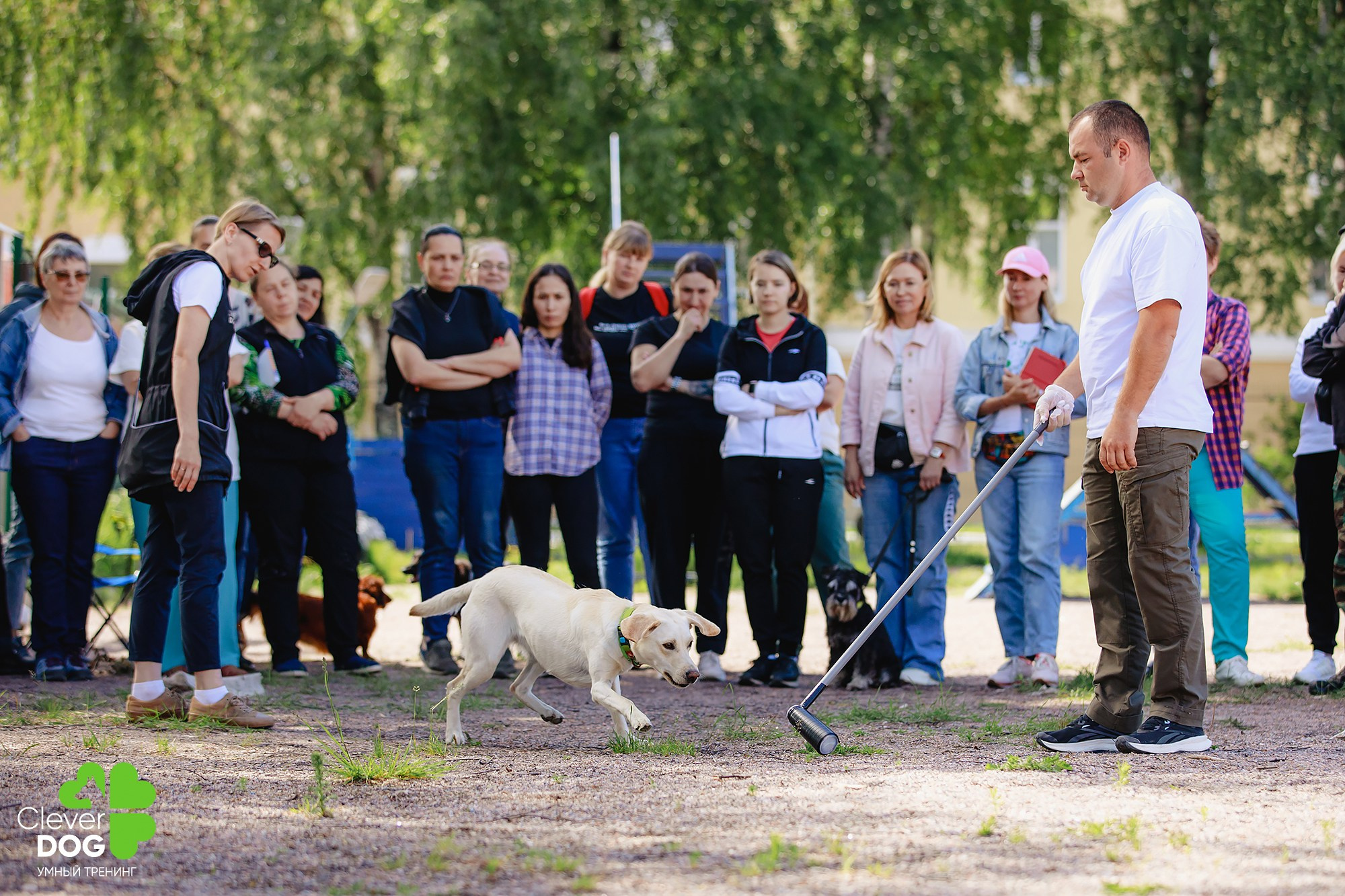 Семинар по поиску запаха с Иваном Ломовым, организатор CleverDog, СПб. Фотограф-анималист Mary Mart — Москва, Питер