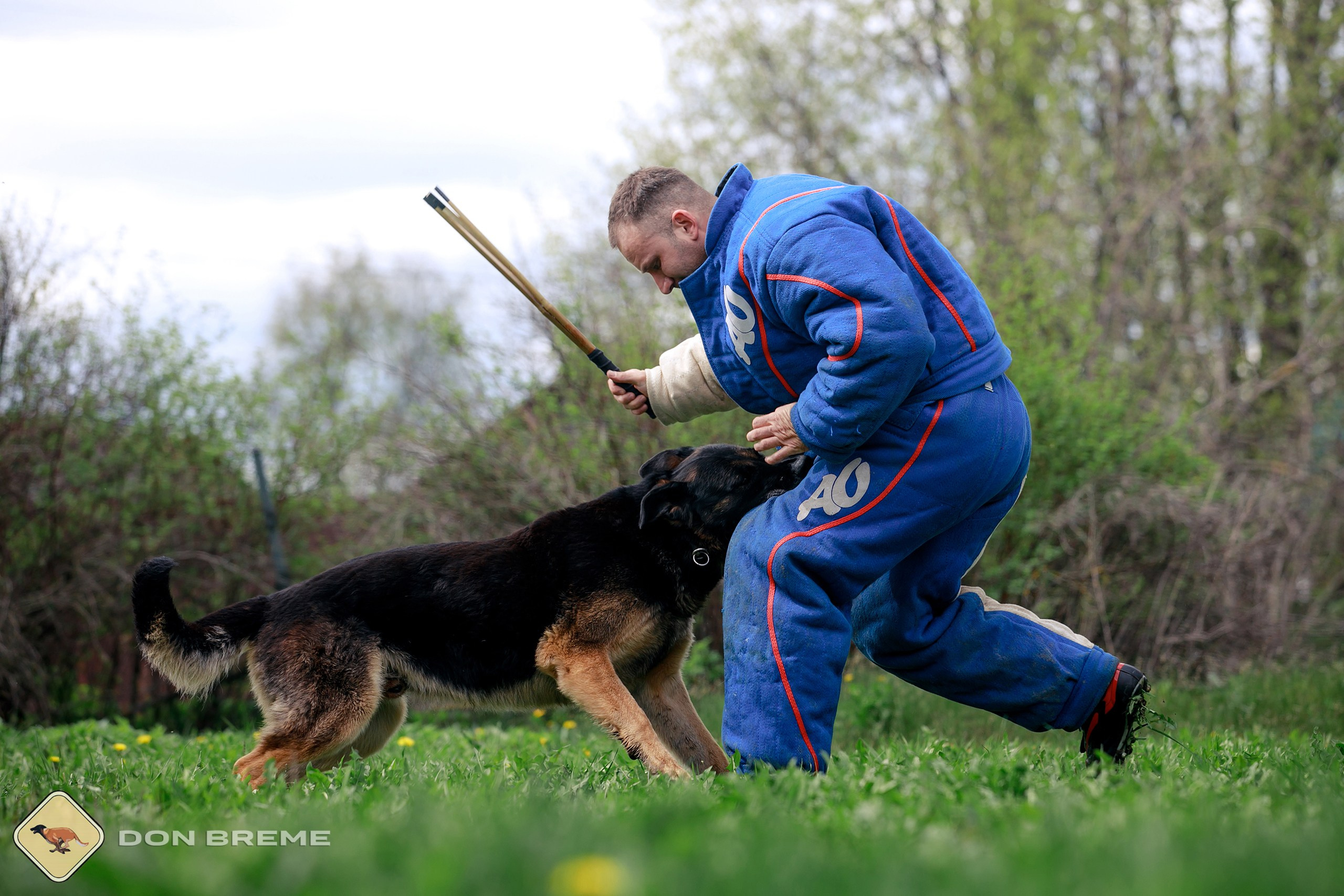 Семинар для фигурантов, день 2. Фотограф-анималист Mary Mart — Москва, Питер