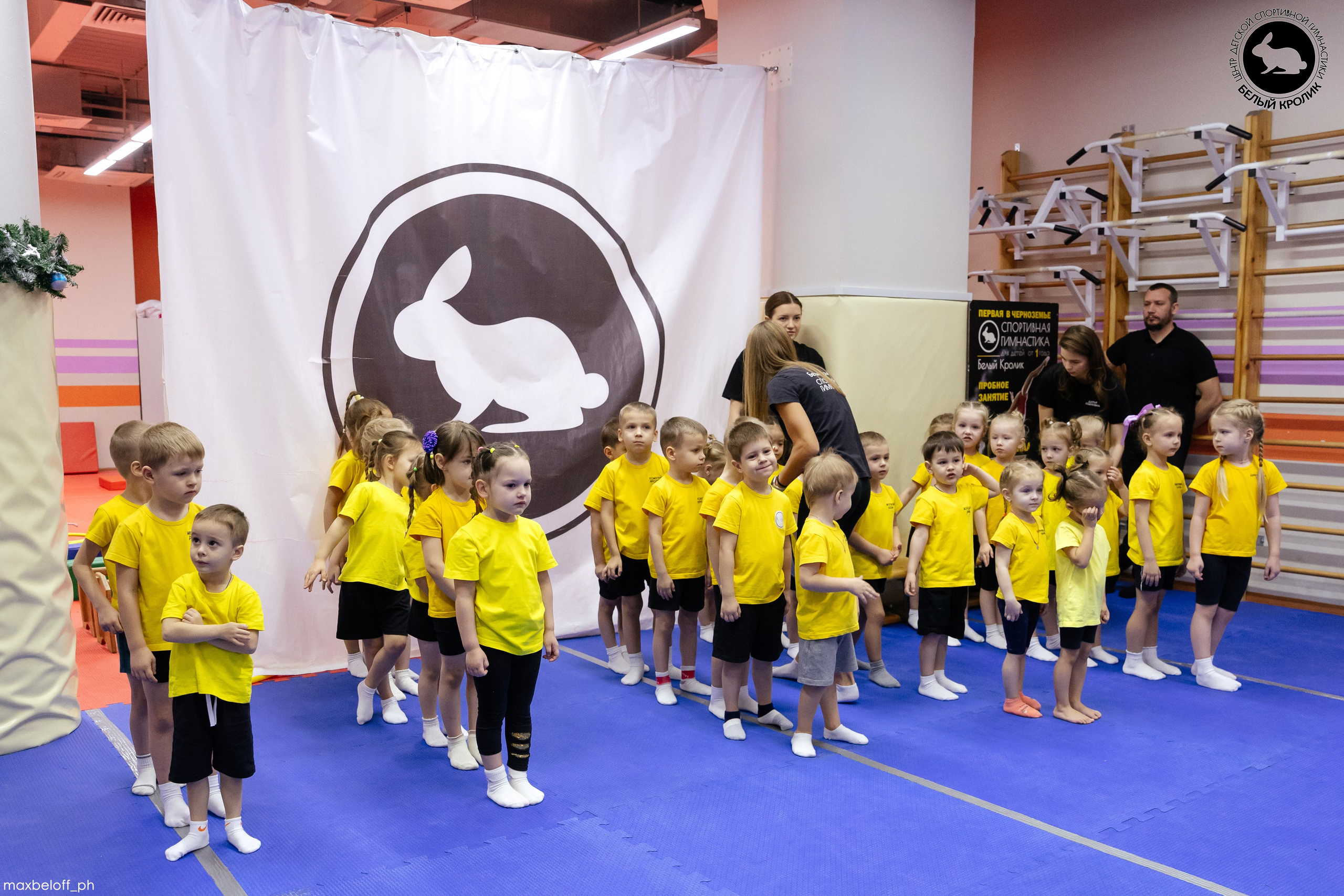 Белый кролик. Соревнования. Семейный фотограф — Макс Белогрудов