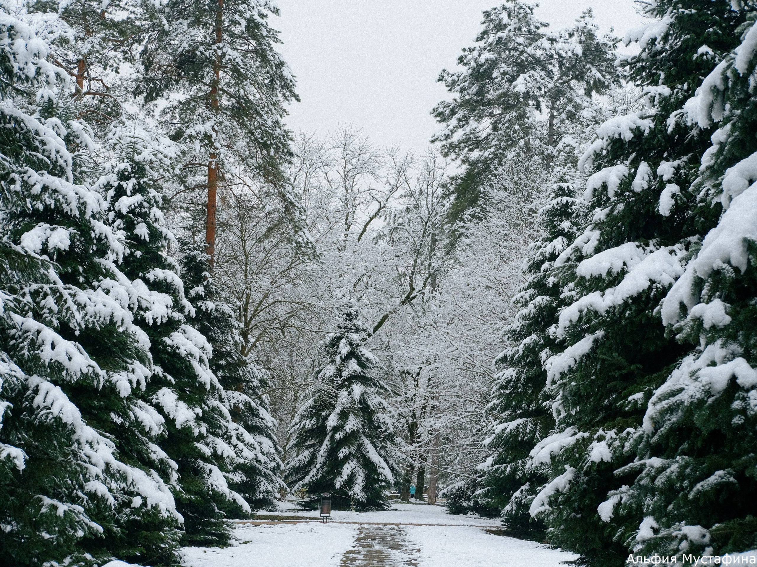 Фотосессия