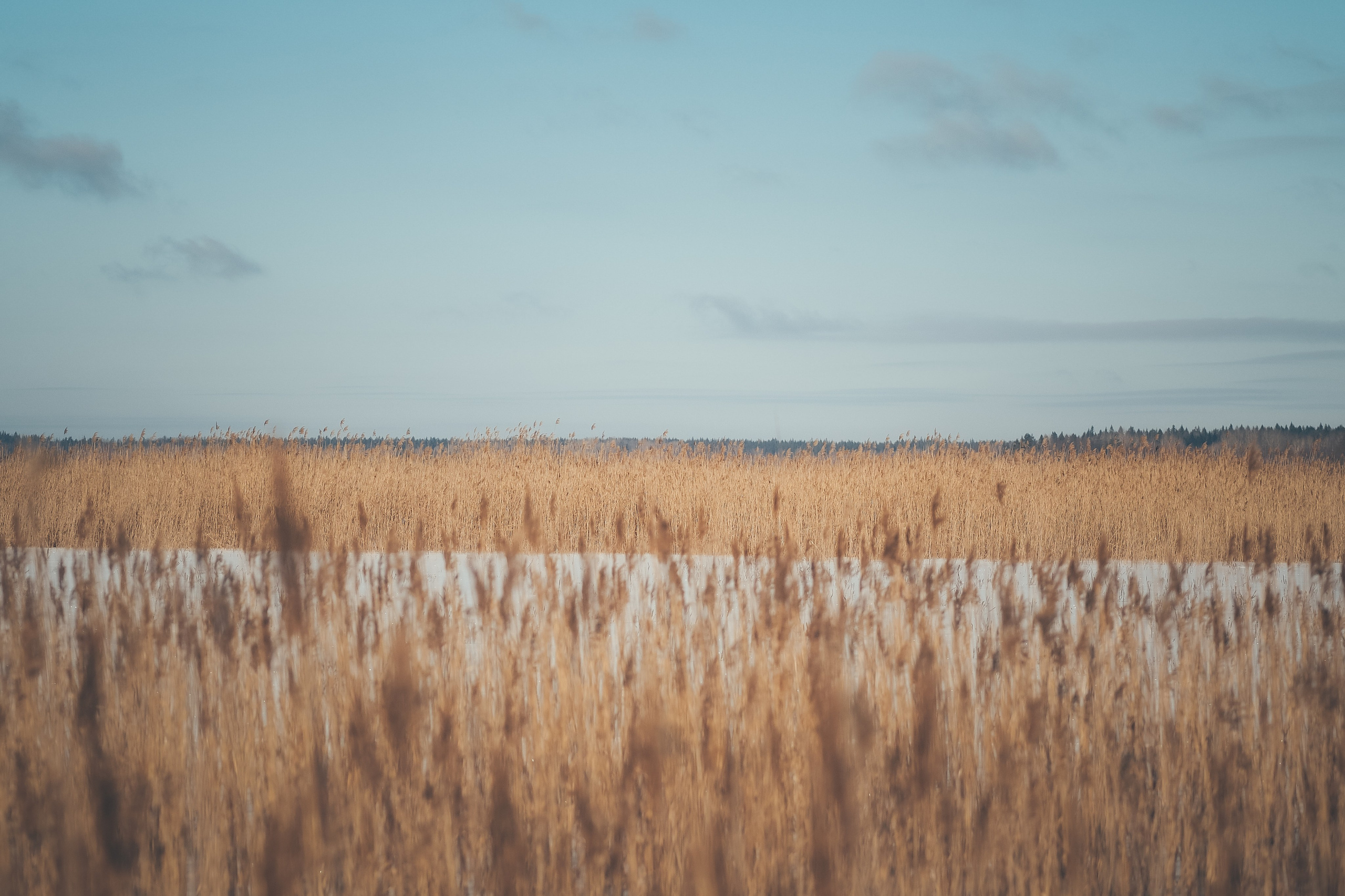 Раковые озера. Свадебный фотограф Копков Геннадий
