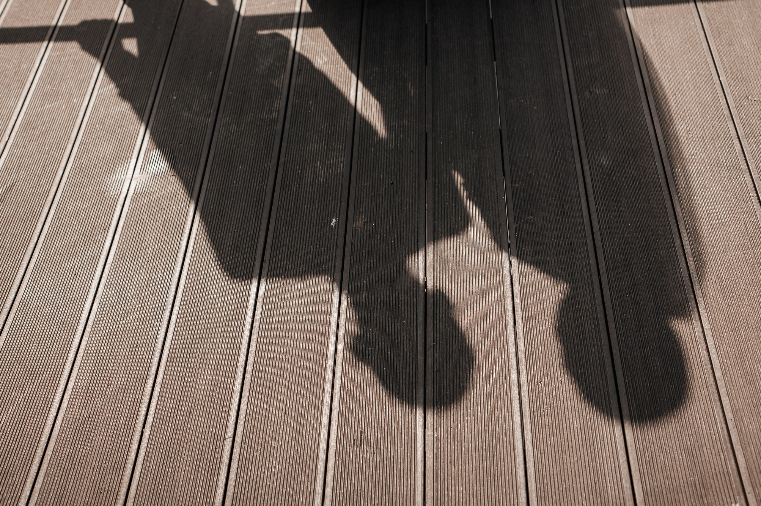 Максим и Наталья. Сборы, прогулка. Фотограф Екатерина Бочарникова