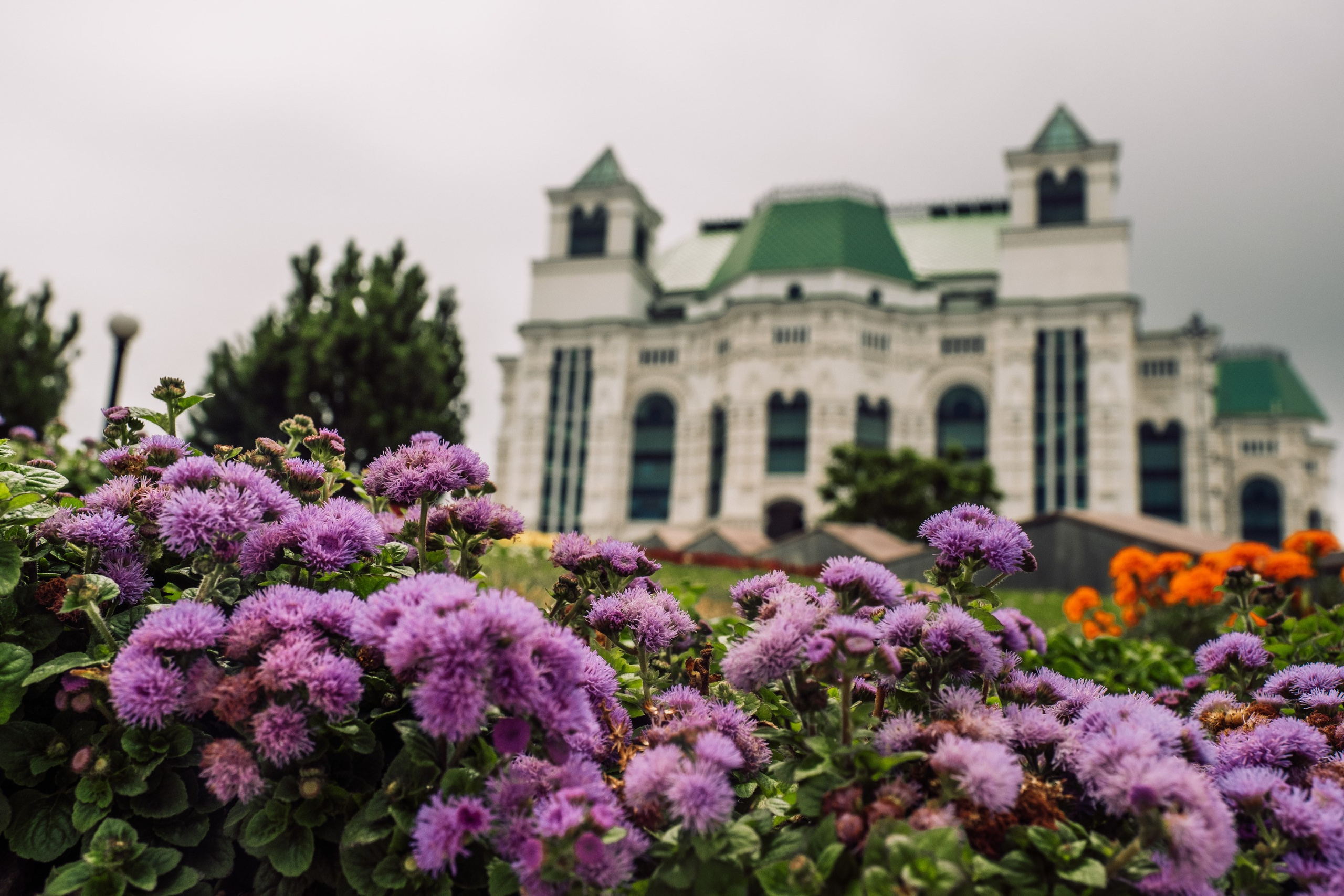 Театральный парк перед дождем. Фотограф Анатолий Деникин