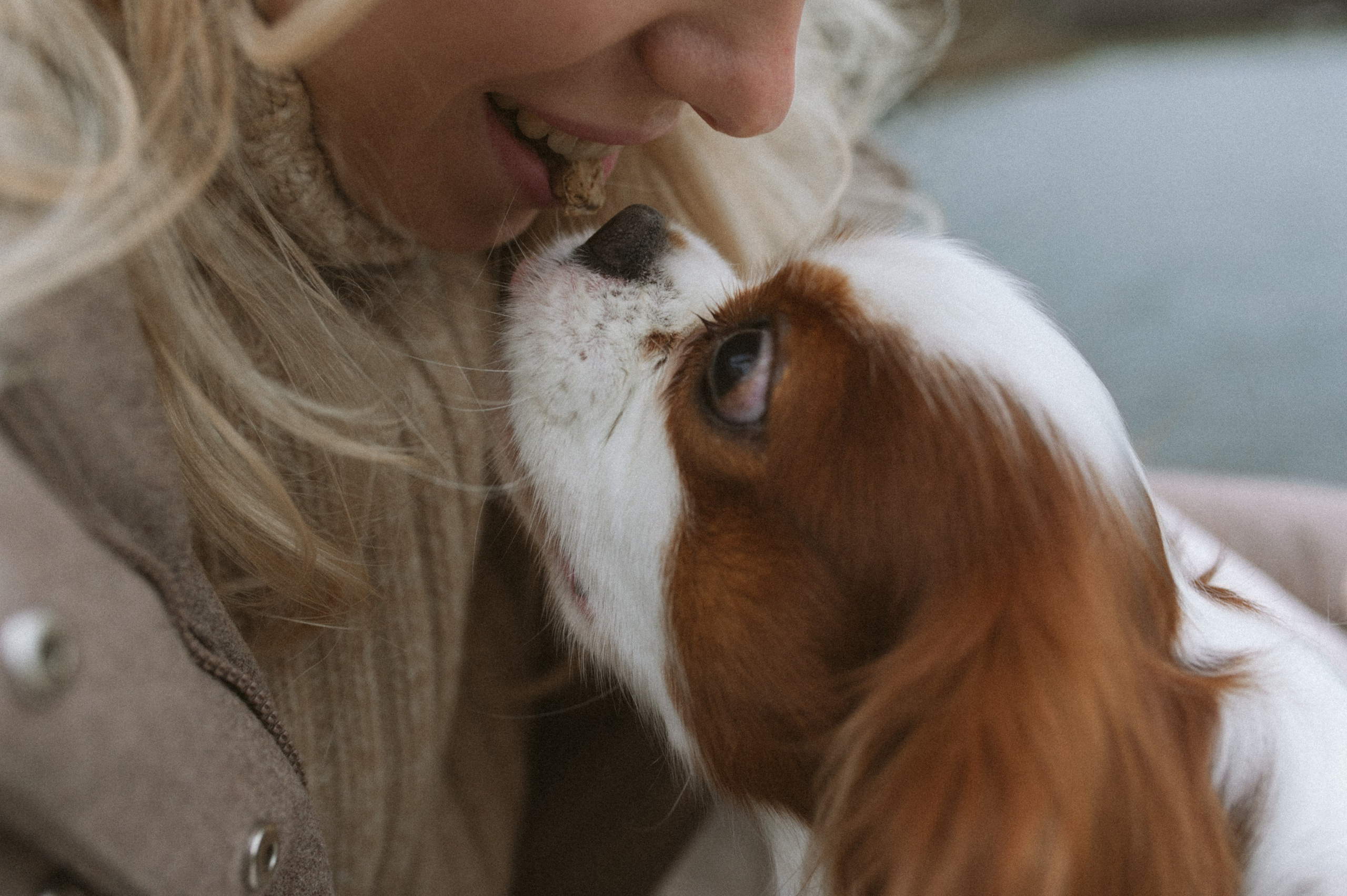 Настя и Тэйлор. Фотограф анималист в Москве Ольга Агушева