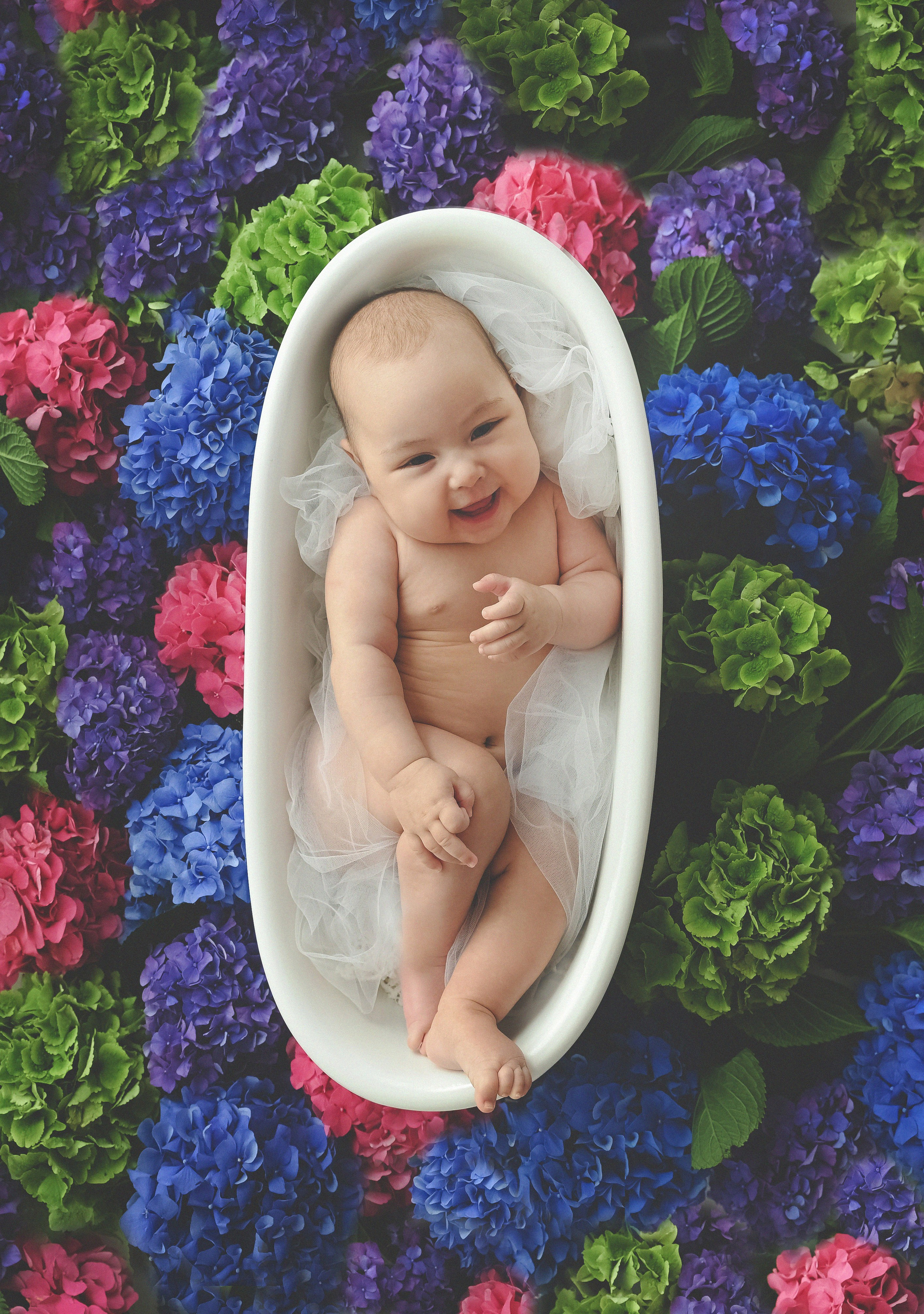 Гортензии. Фотограф новорожденных и детей в Барнауле — Екатерина Шапкина