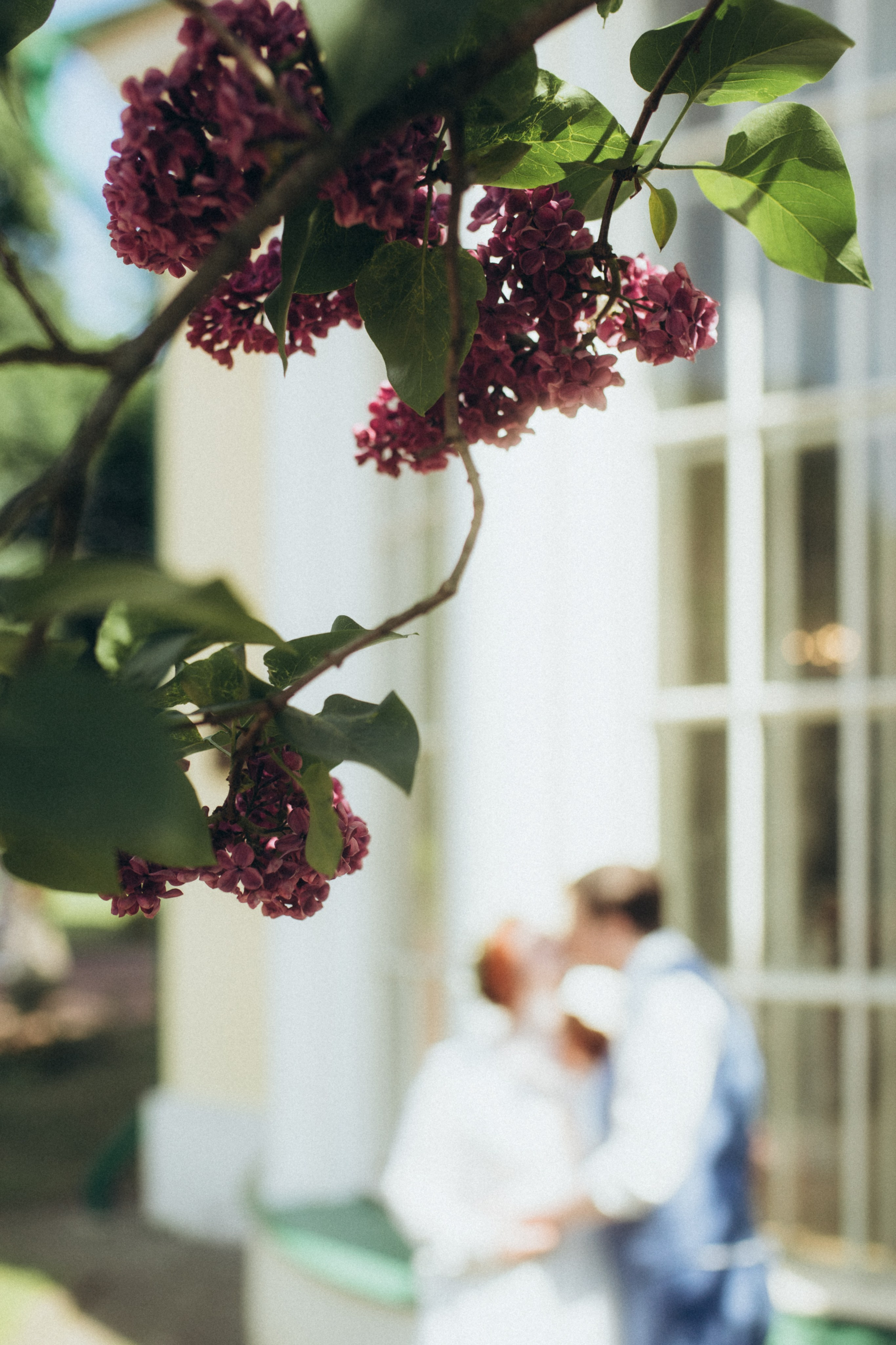 Свадебные сьемки. Семейный и свадебный фотограф Ясна Матросова