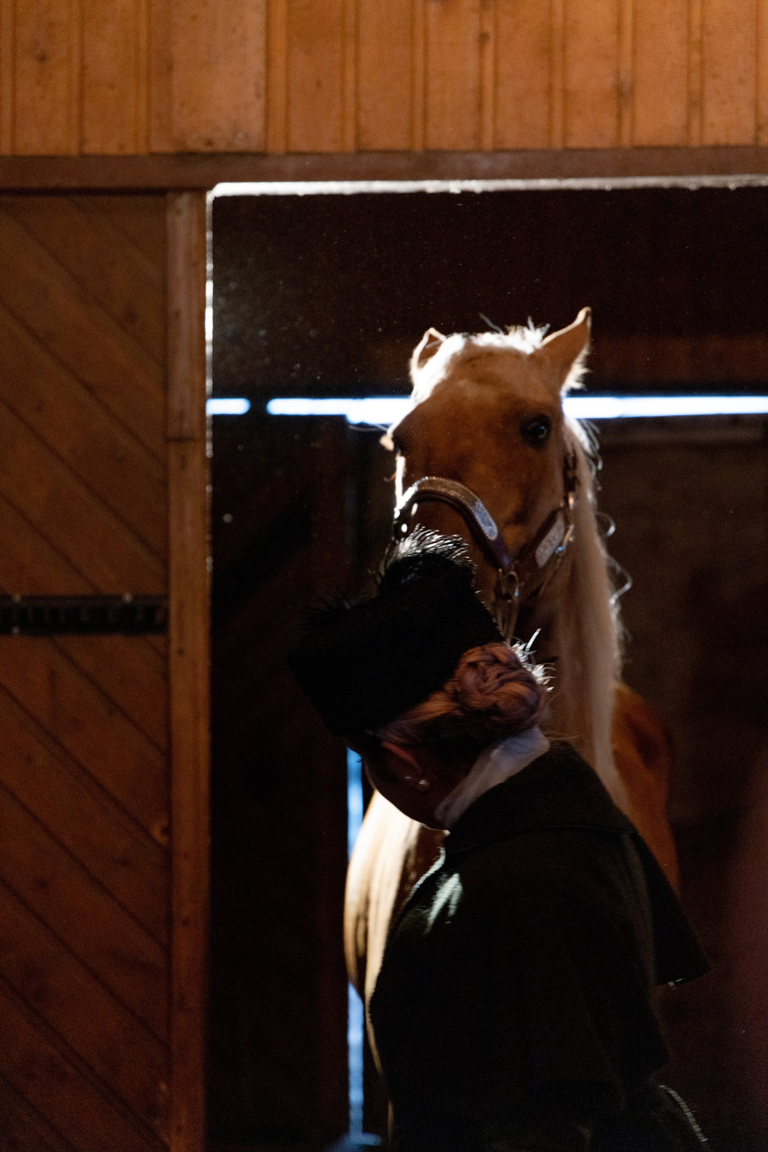 Фотограф Татьяна Марсуверских г. Жуковский, Москва и Мо. Репортажные съёмки, фотосессии с лошадьми,  фотограф анималист, фотосъёмка животных. Фотограф для маркетплейсов, фотоуслуги в Жуковском Татьяна Марсуверских