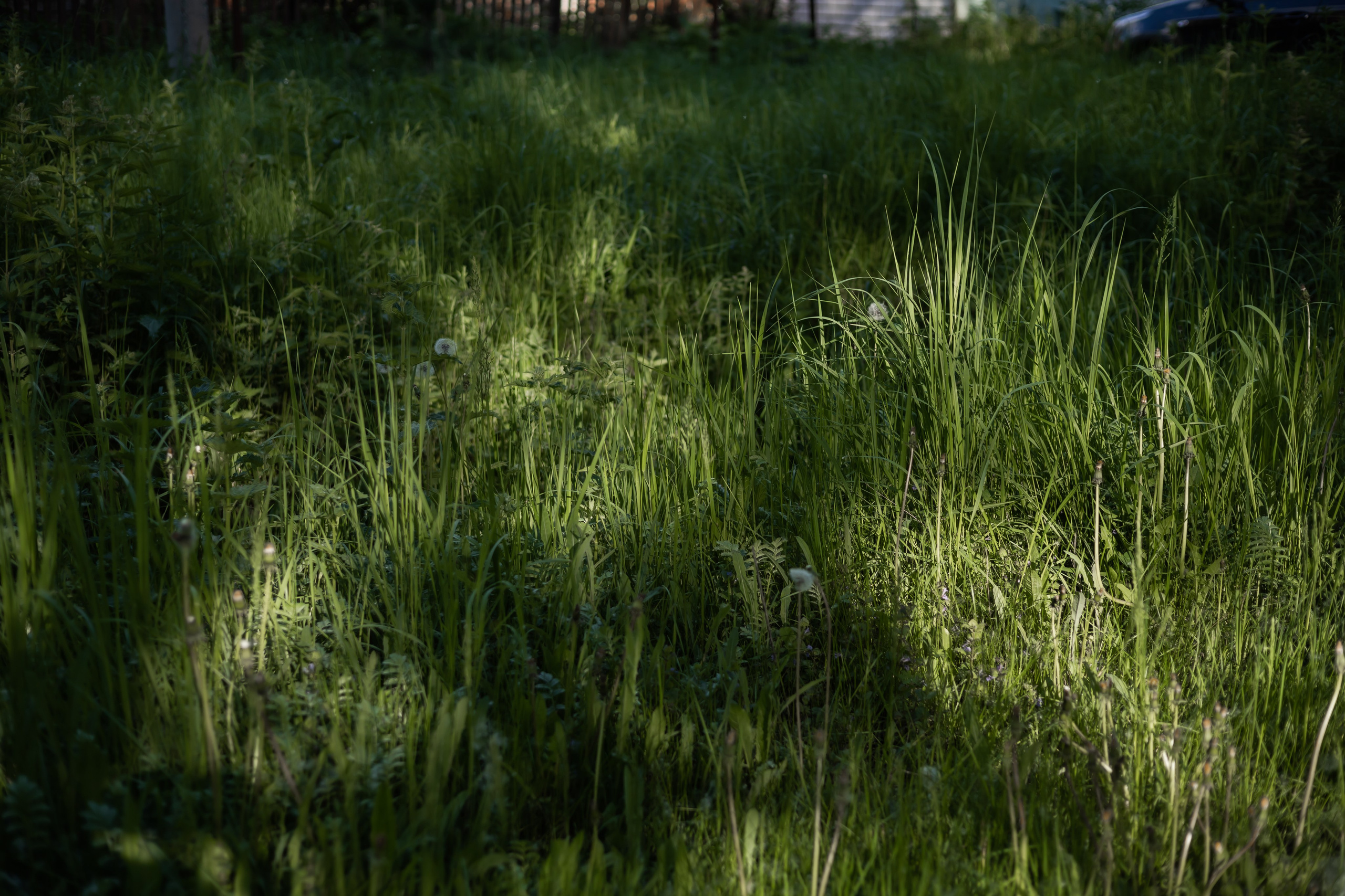 DINARA. Фотограф Элла Ефимова