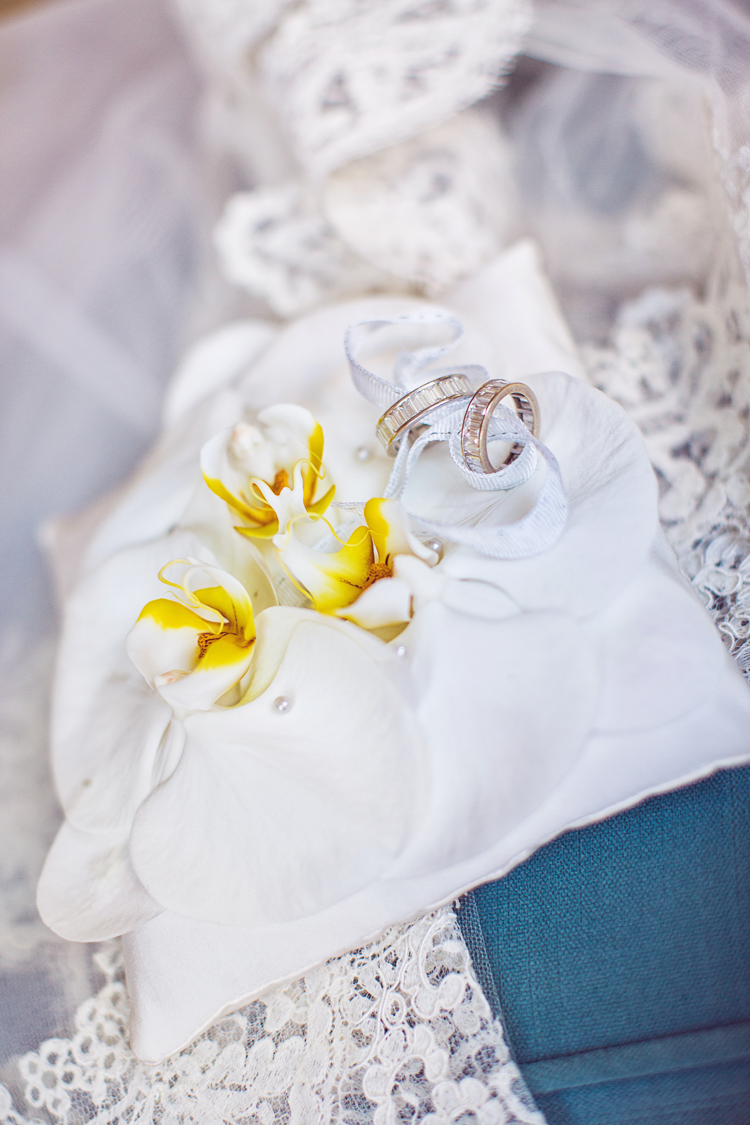 СВАДЬБА. NatalieDmi — фотосессия беременности, семейный фотограф, портрет