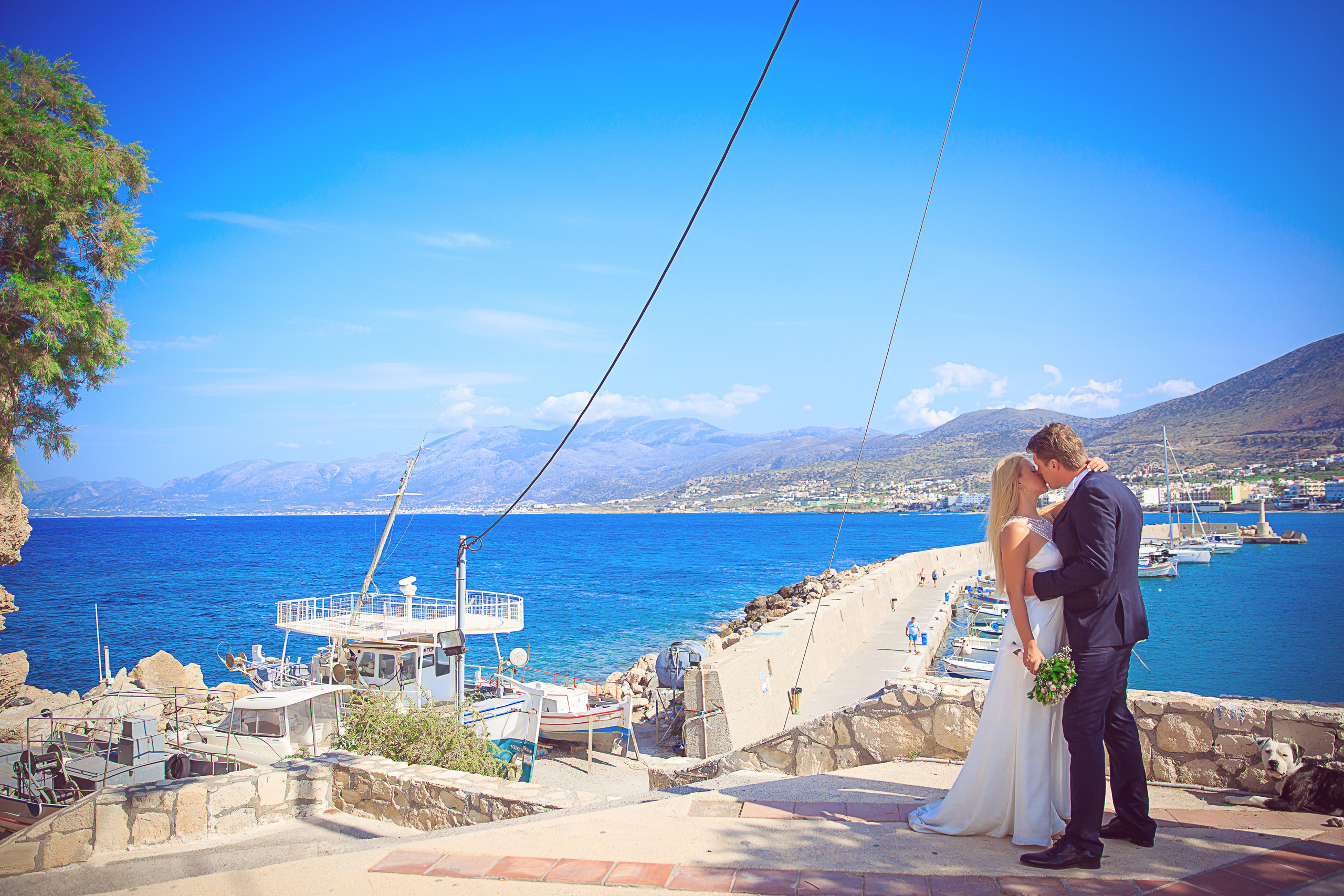 СВАДЬБА. NatalieDmi — фотосессия беременности, семейный фотограф, портрет