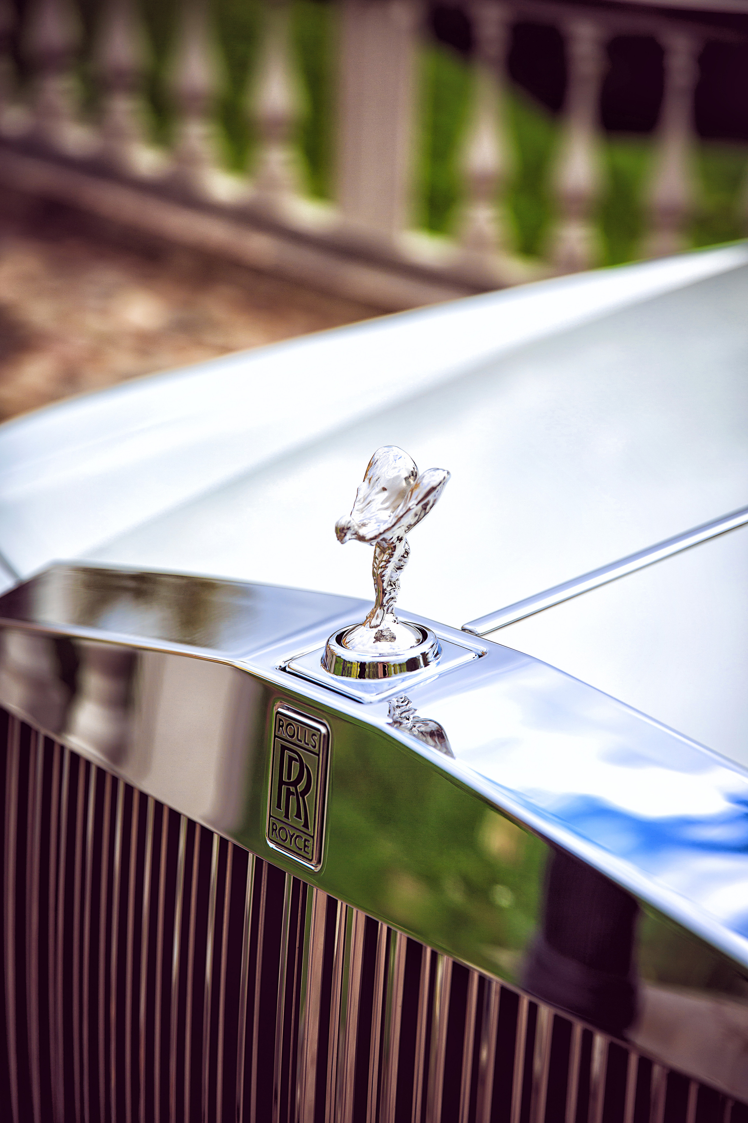 СВАДЬБА. NatalieDmi — фотосессия беременности, семейный фотограф, портрет