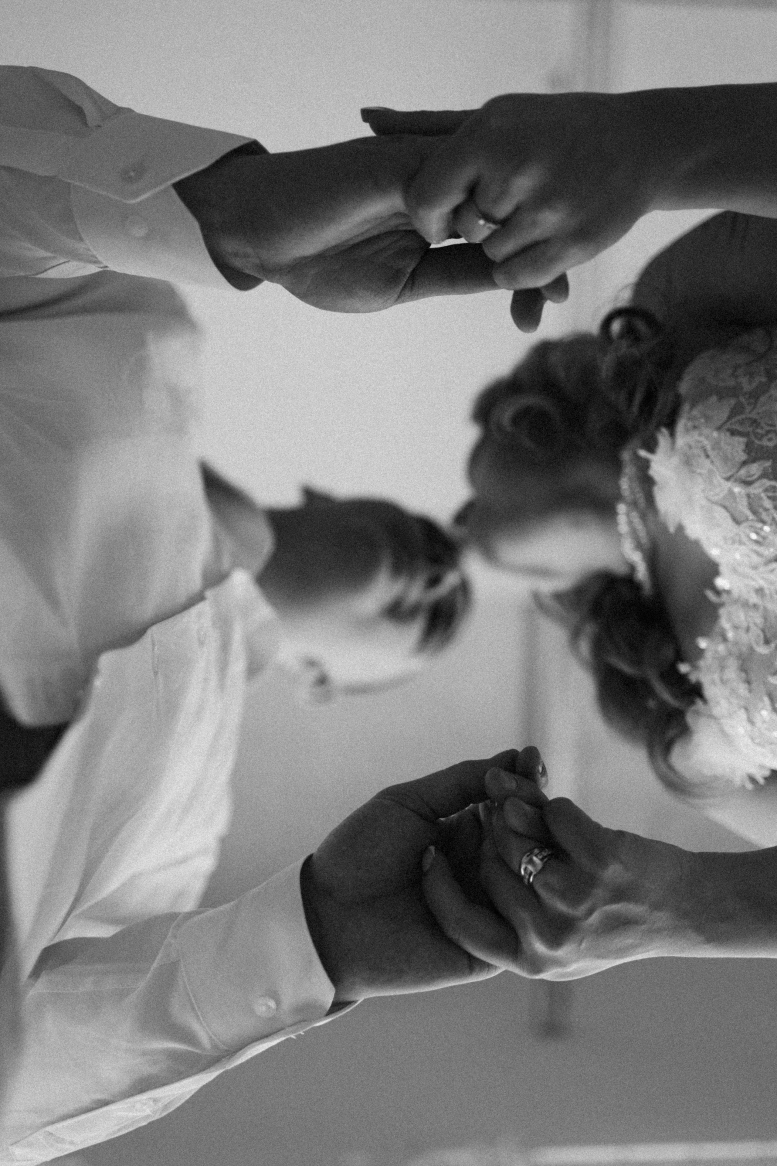 Вика и Лёша. Семейный фотограф в Москве Жукова Анна