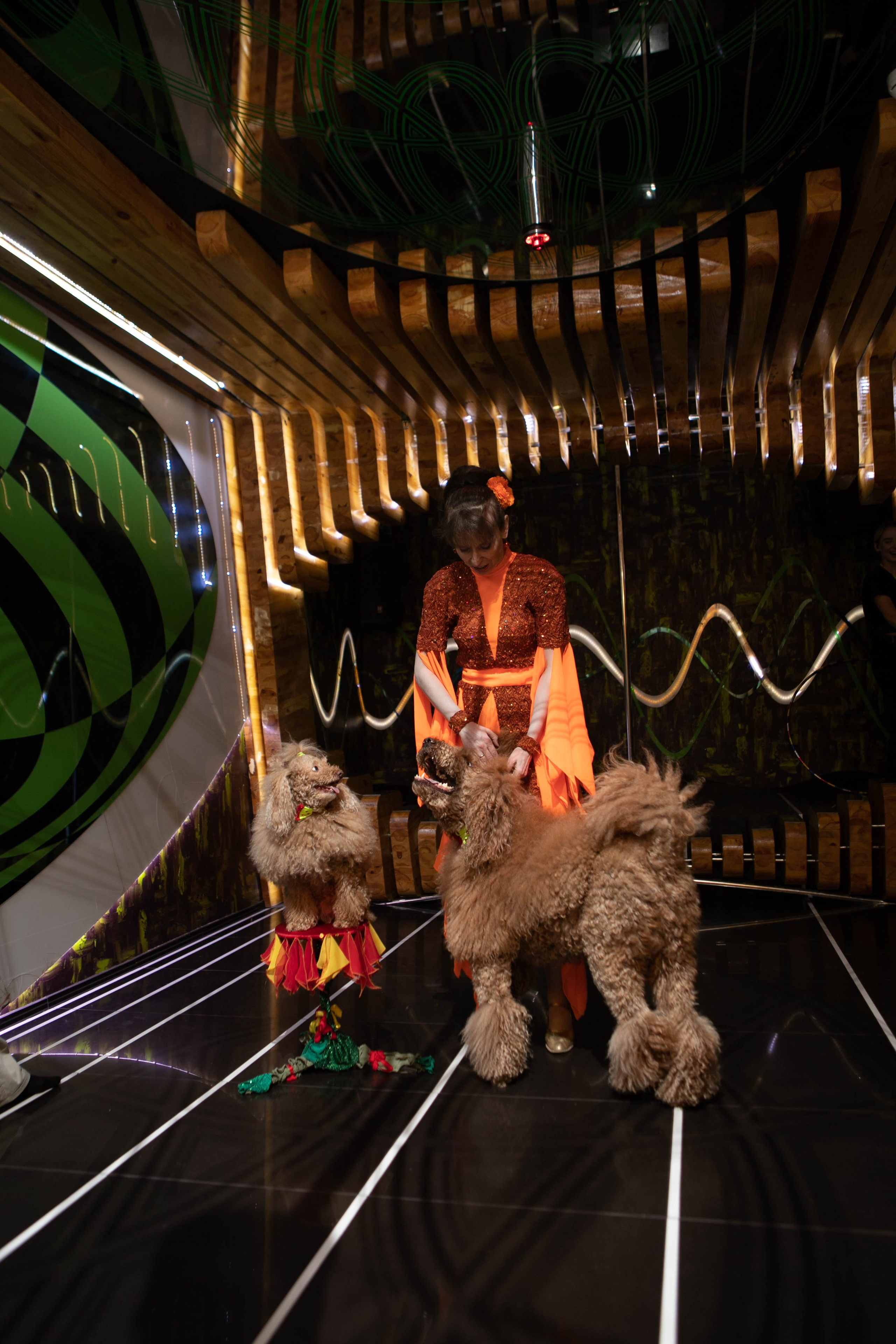 Мероприятия. Свадебный и семейный фотограф Санкт-Петербург Раднаева Юля