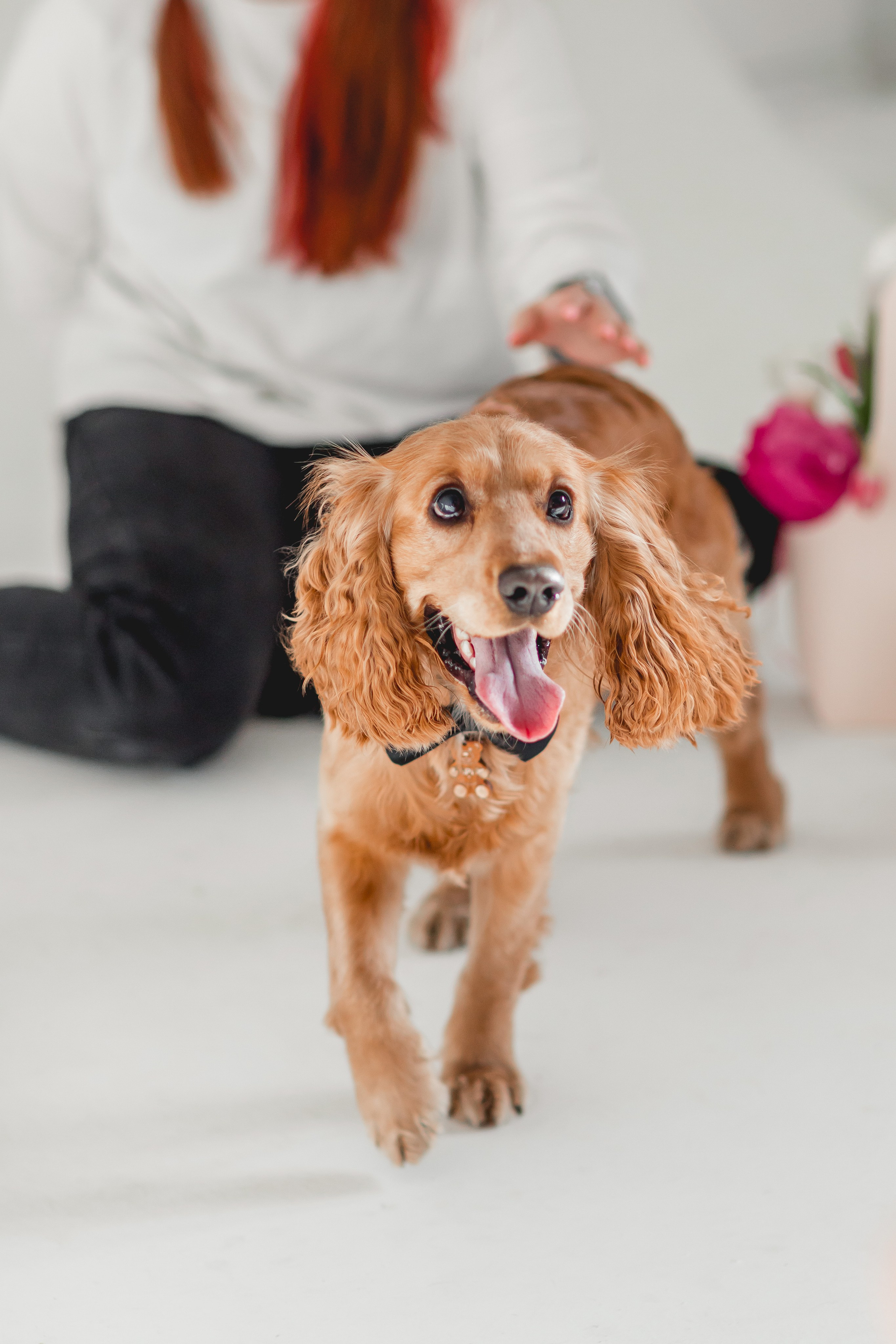 Лада и Барни. Семейный фотограф анималист Мария Крючкова