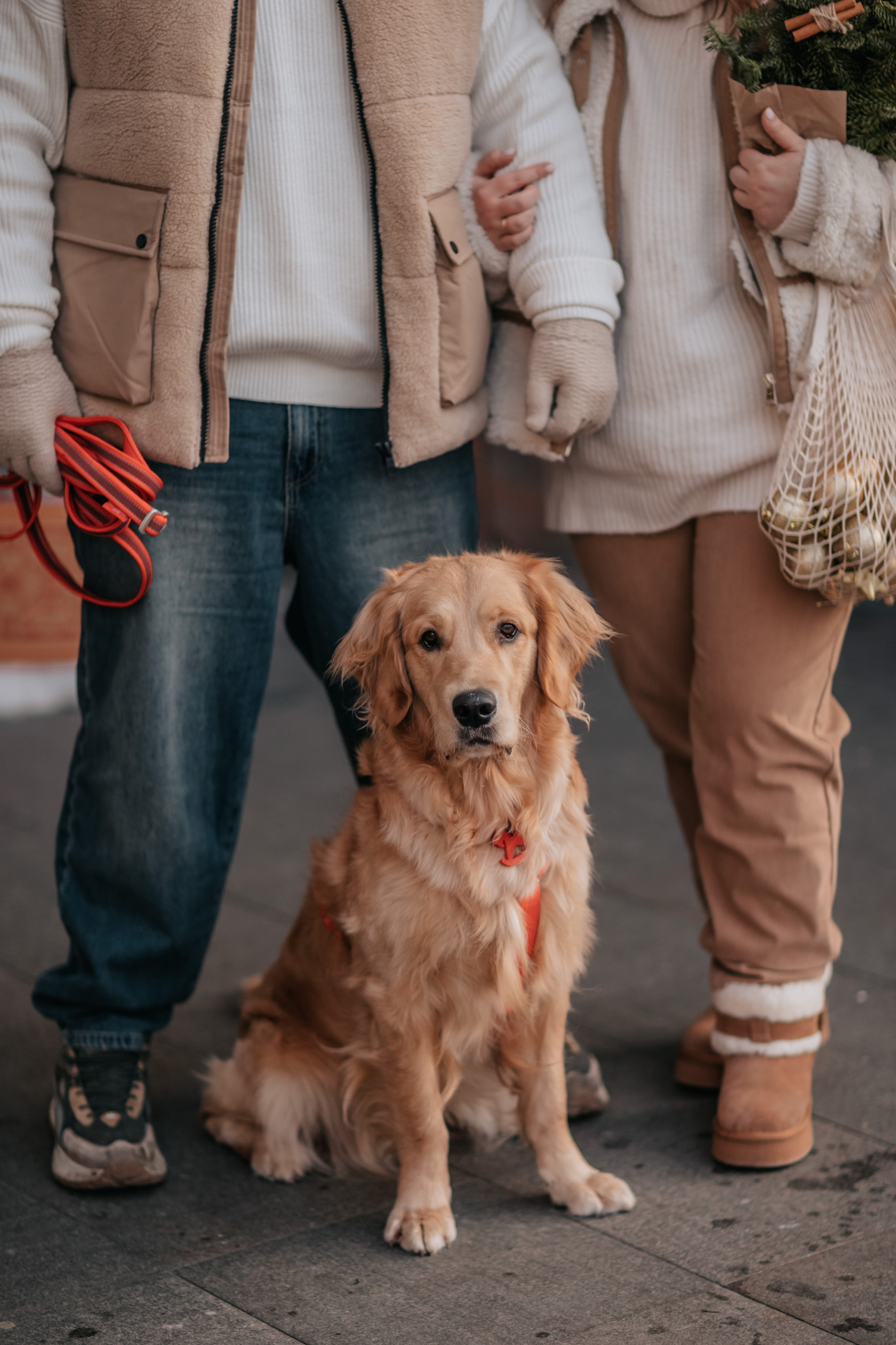 Бетти, Катя и Лёша. Новогодняя история. Семейный фотограф анималист Мария Крючкова