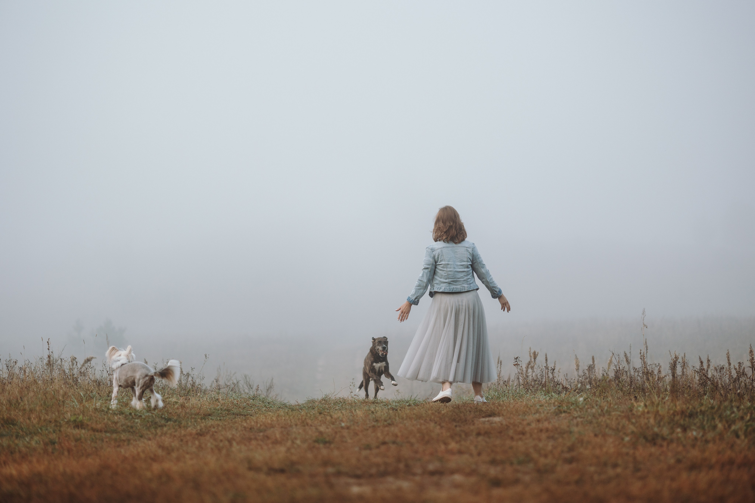 Любовь и ее хвостики. Фотограф — Анималист | Санкт-Петербург