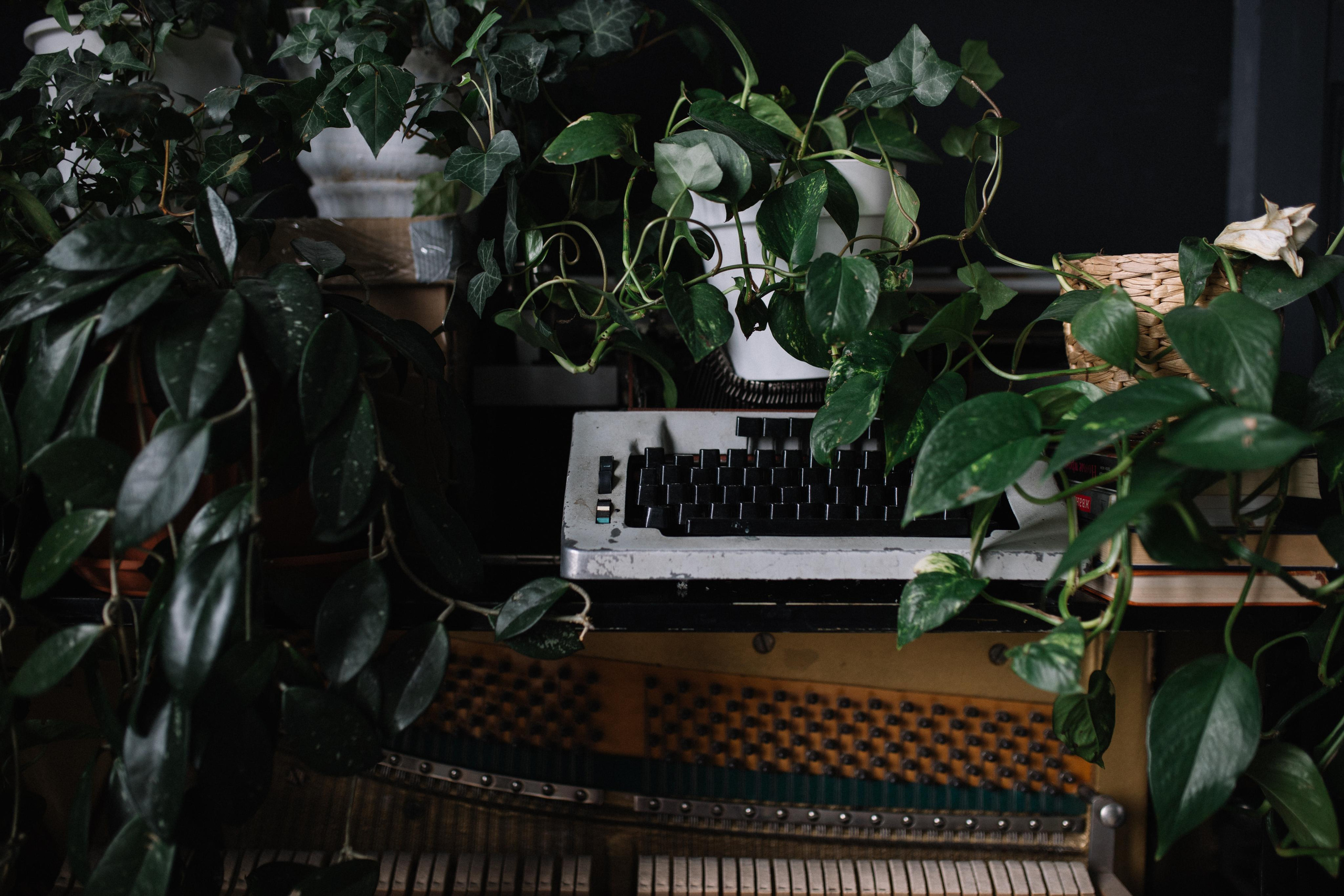 Павел, Екатерина и Юлия. Кристина Киссер |Фотограф | сняла ⩾ 2000 съёмок | главная по атмосфере