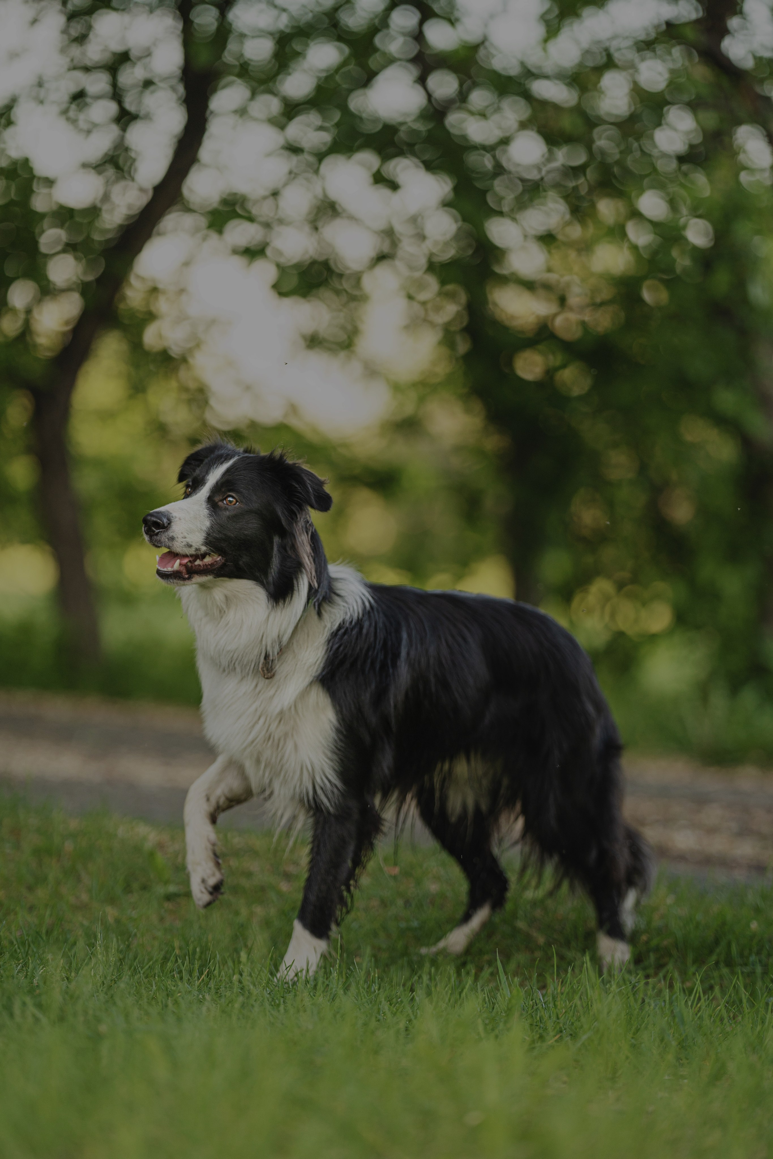 Люба + Близ (рассветная съемка). Kameramotor74