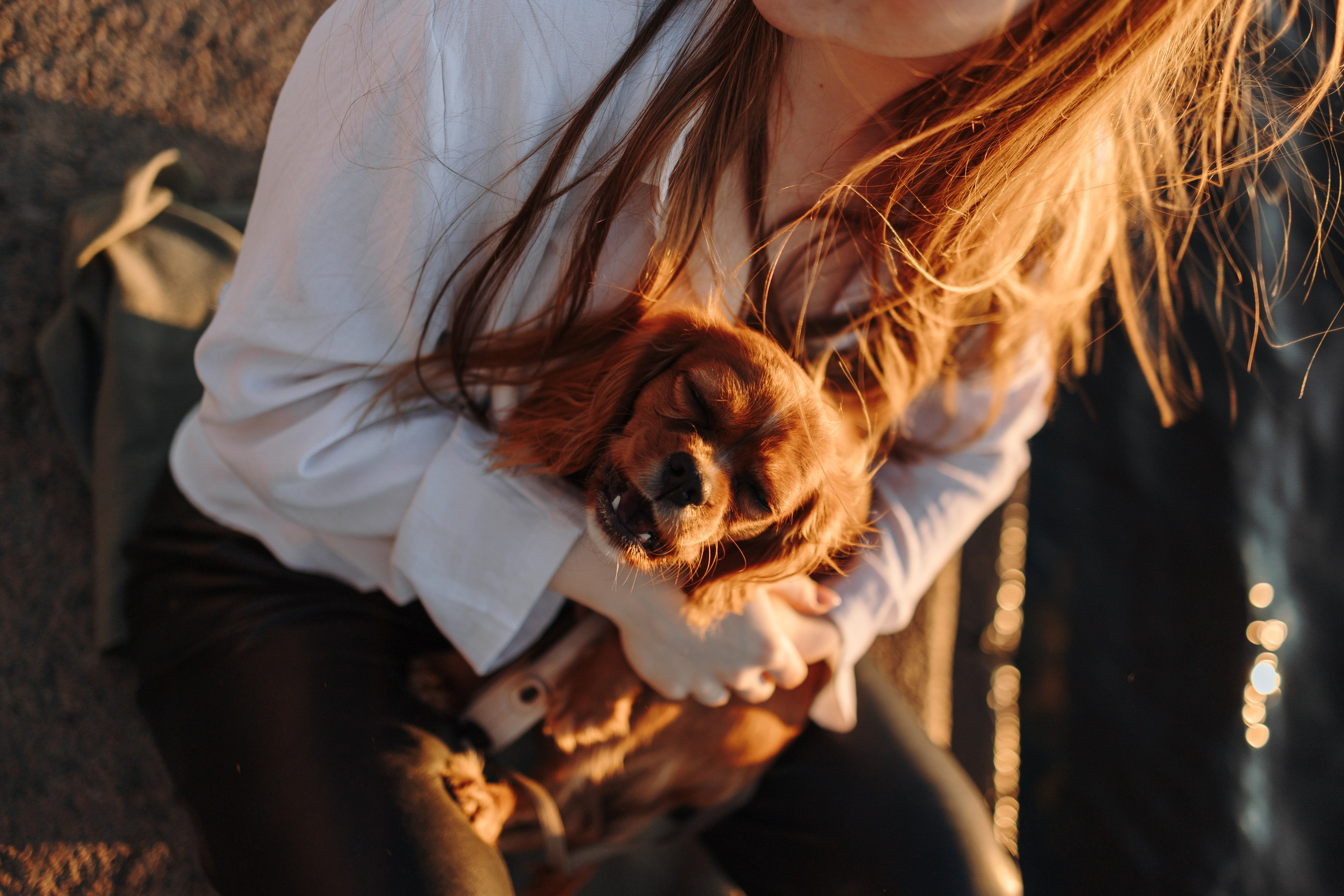 Аня, Стеша и Степан. Фотограф — Анималист | Санкт-Петербург