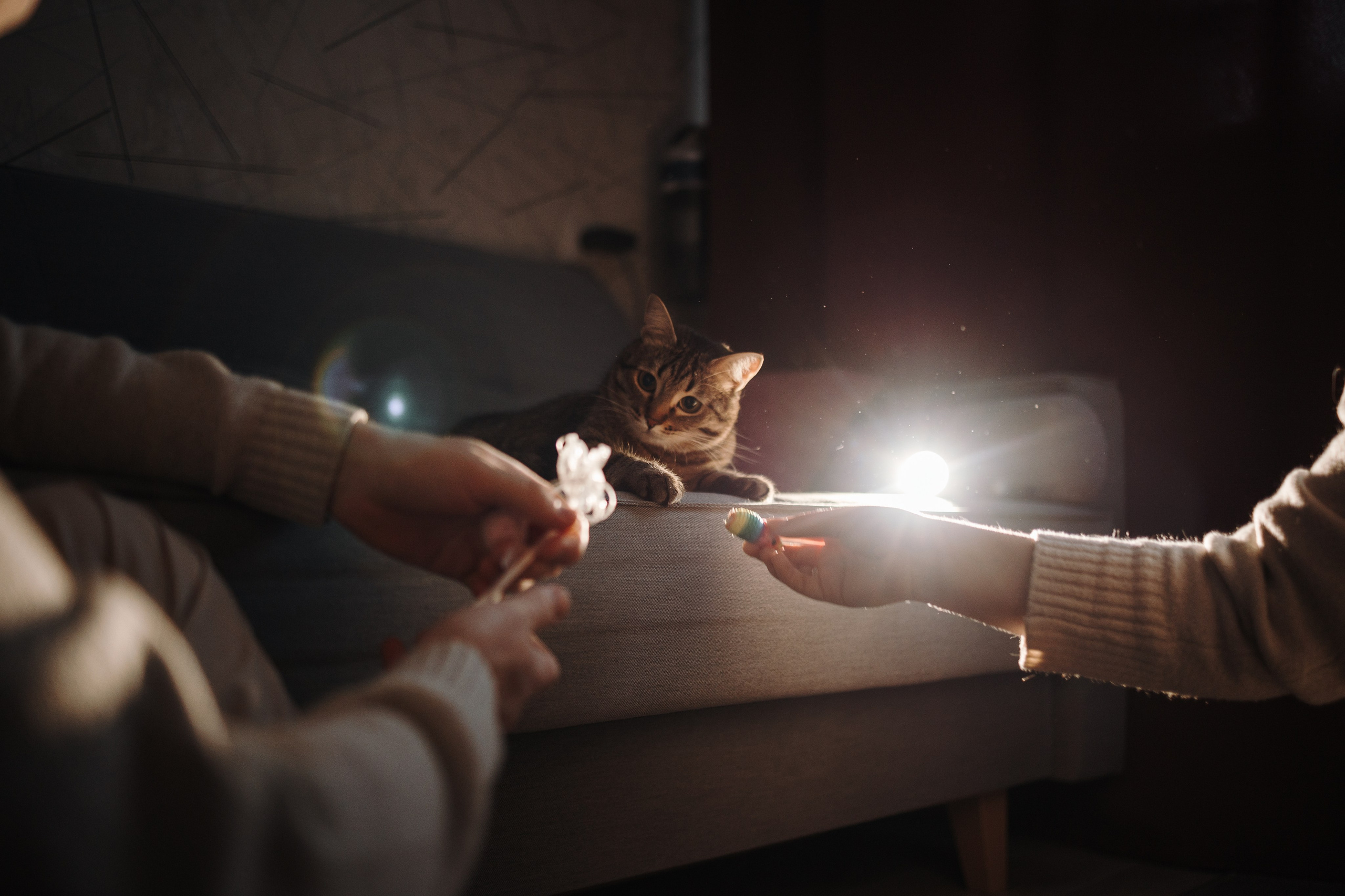 Мася и ее семья. Фотограф — Анималист | Санкт-Петербург