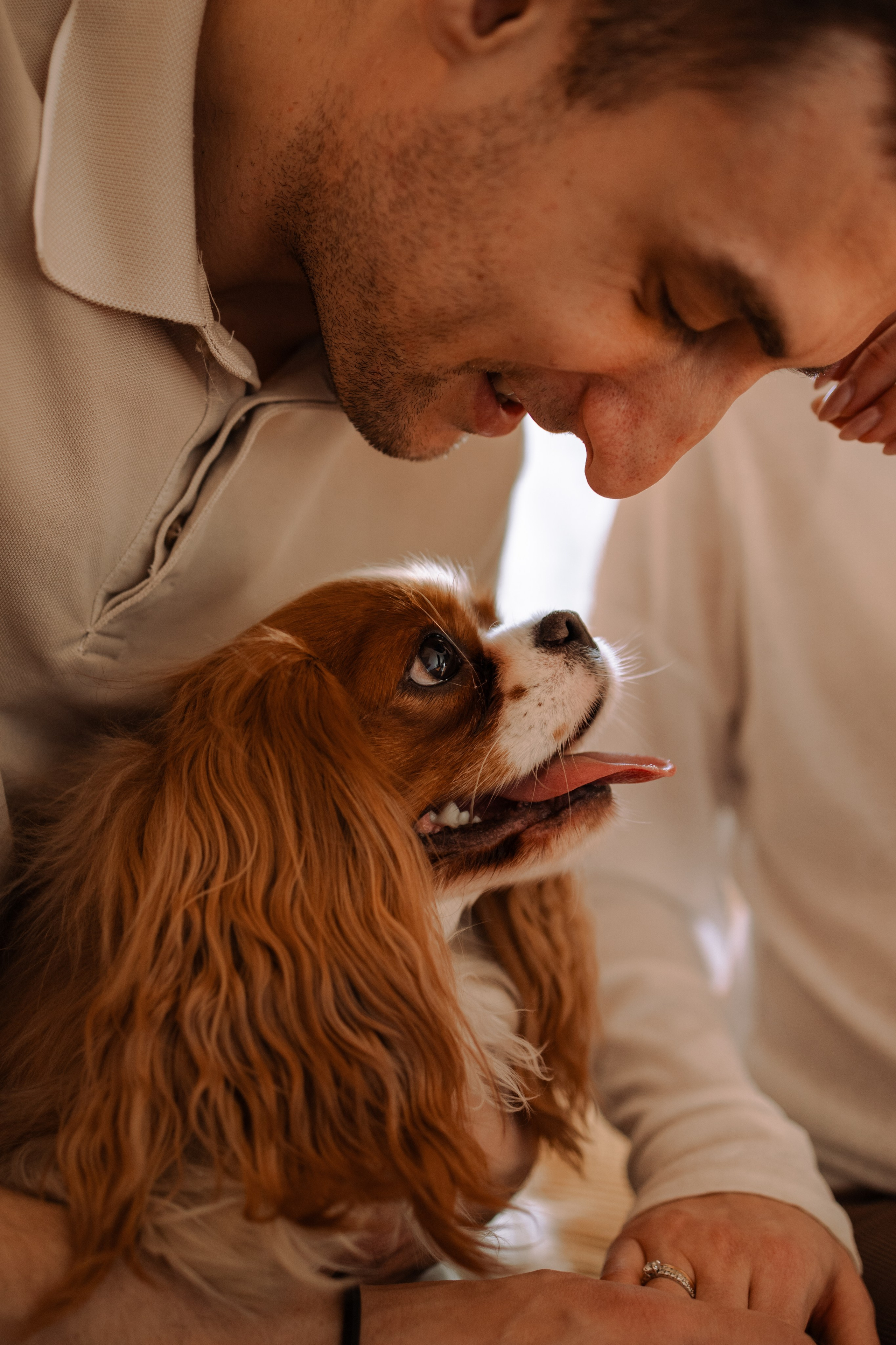 Шерри и ее семья. Фотограф — Анималист | Санкт-Петербург
