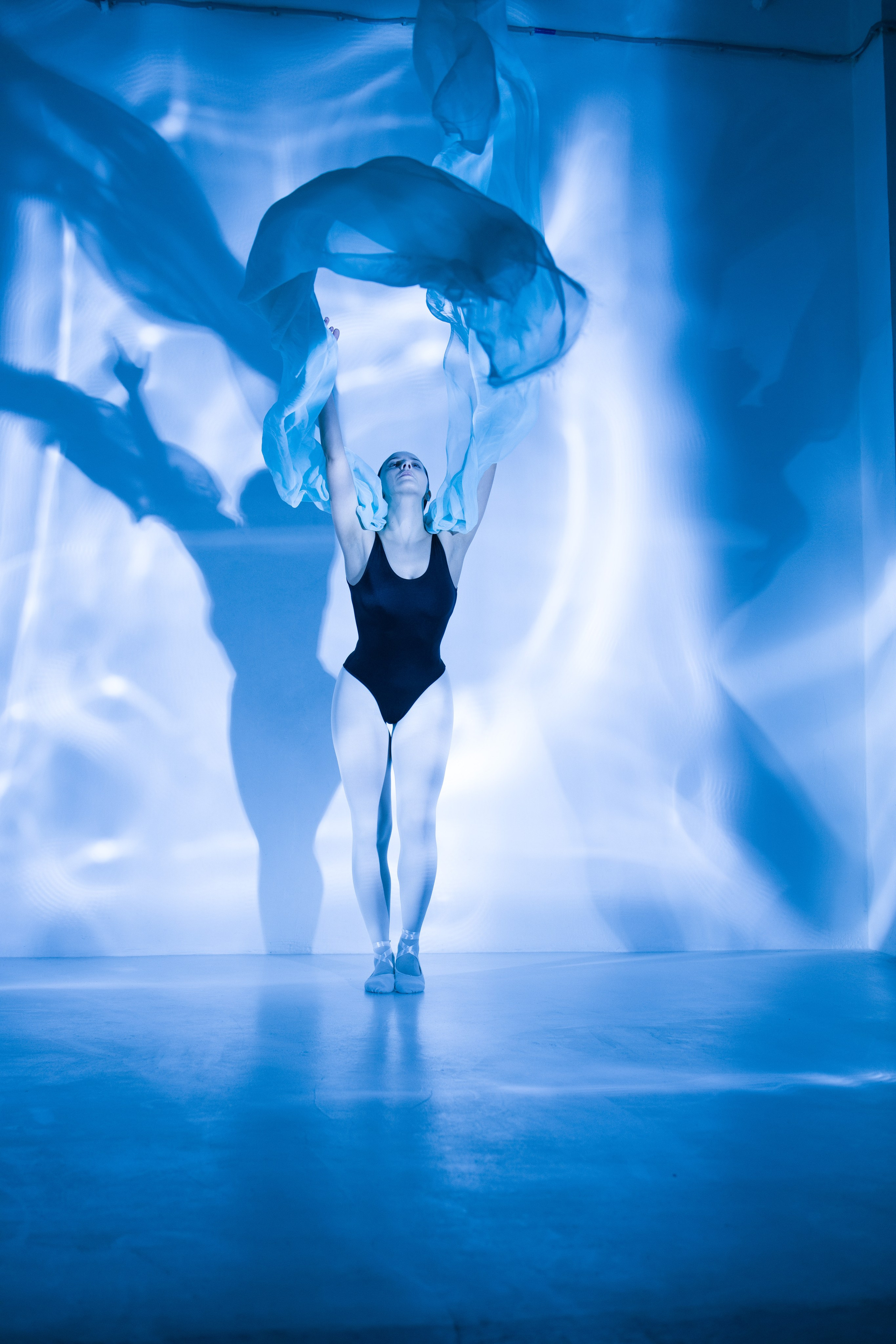 Лилия. Художественная фотография