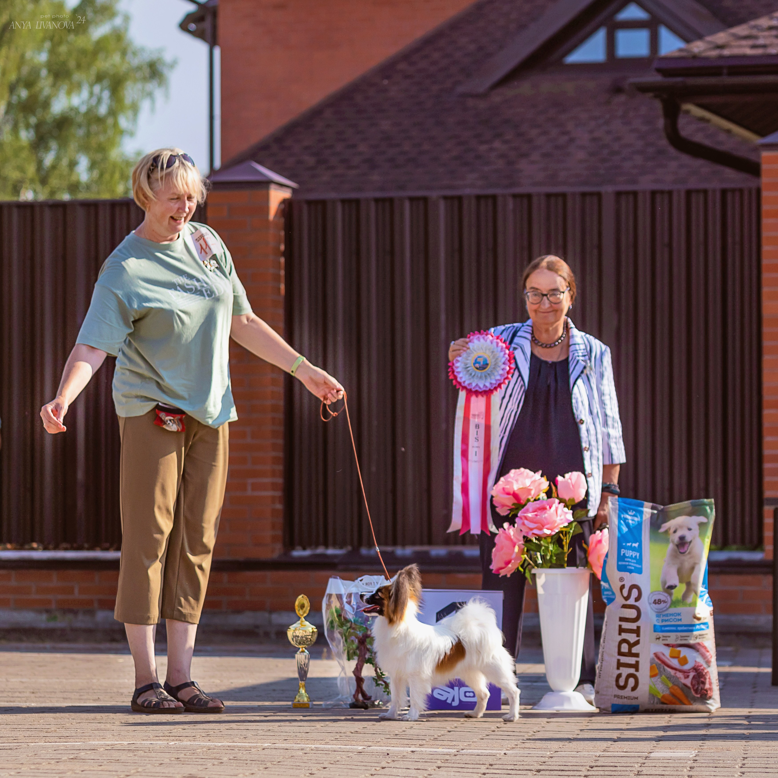 Хьюстон. Фотограф анималист Аня Ливанова | Рыбинск