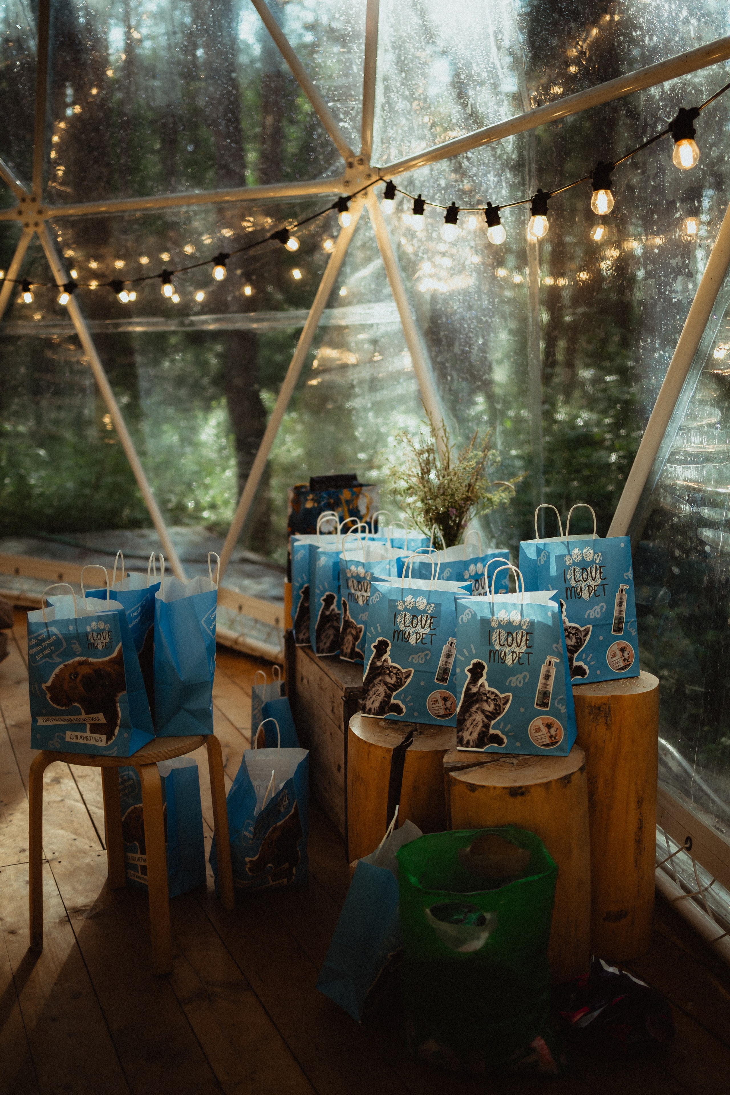 Выездной дог-тренинг от школы «Шерсть имею»