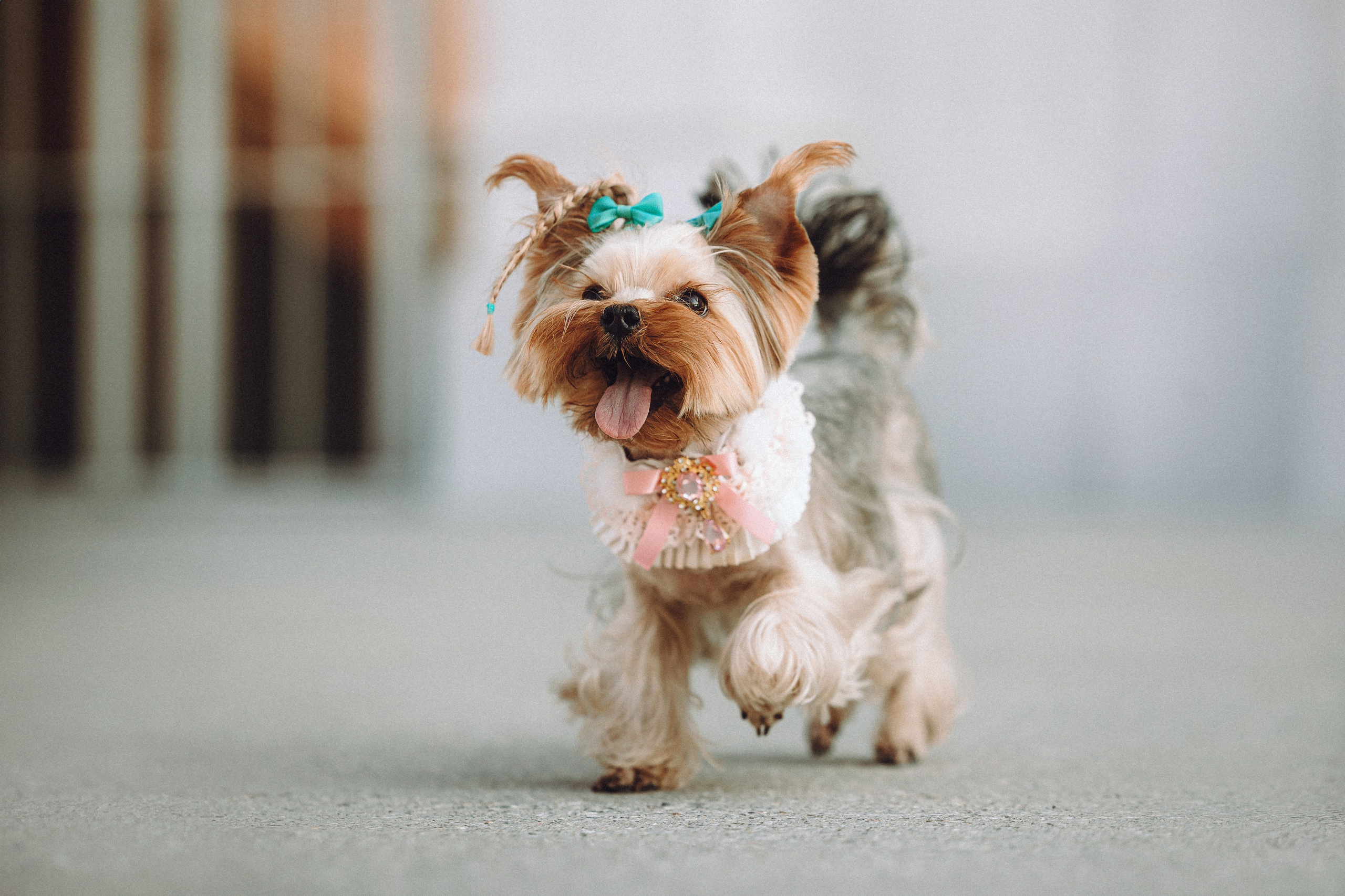 Дженни, Оливия и их семья