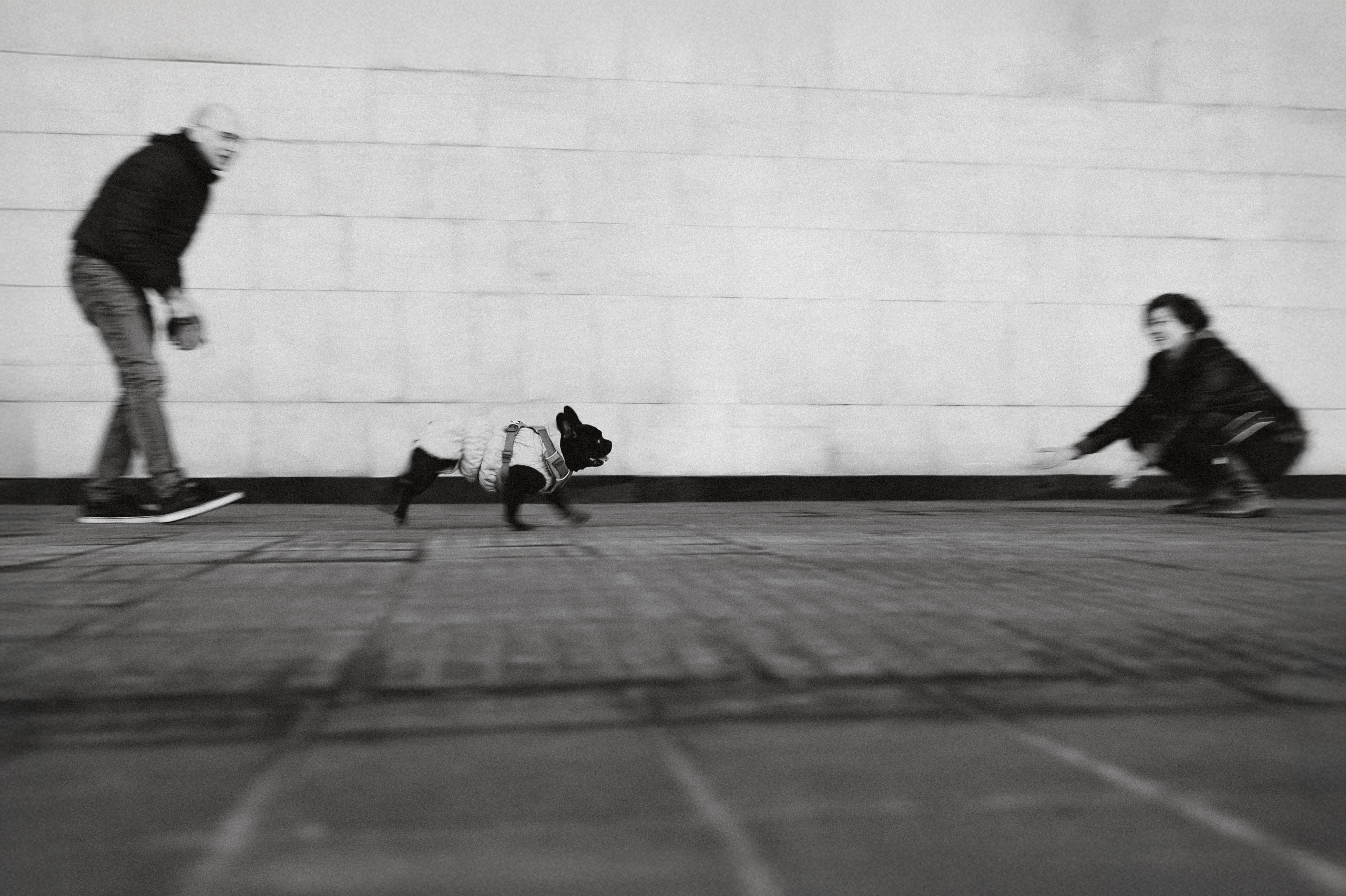 Саша, Дима и Шпуля