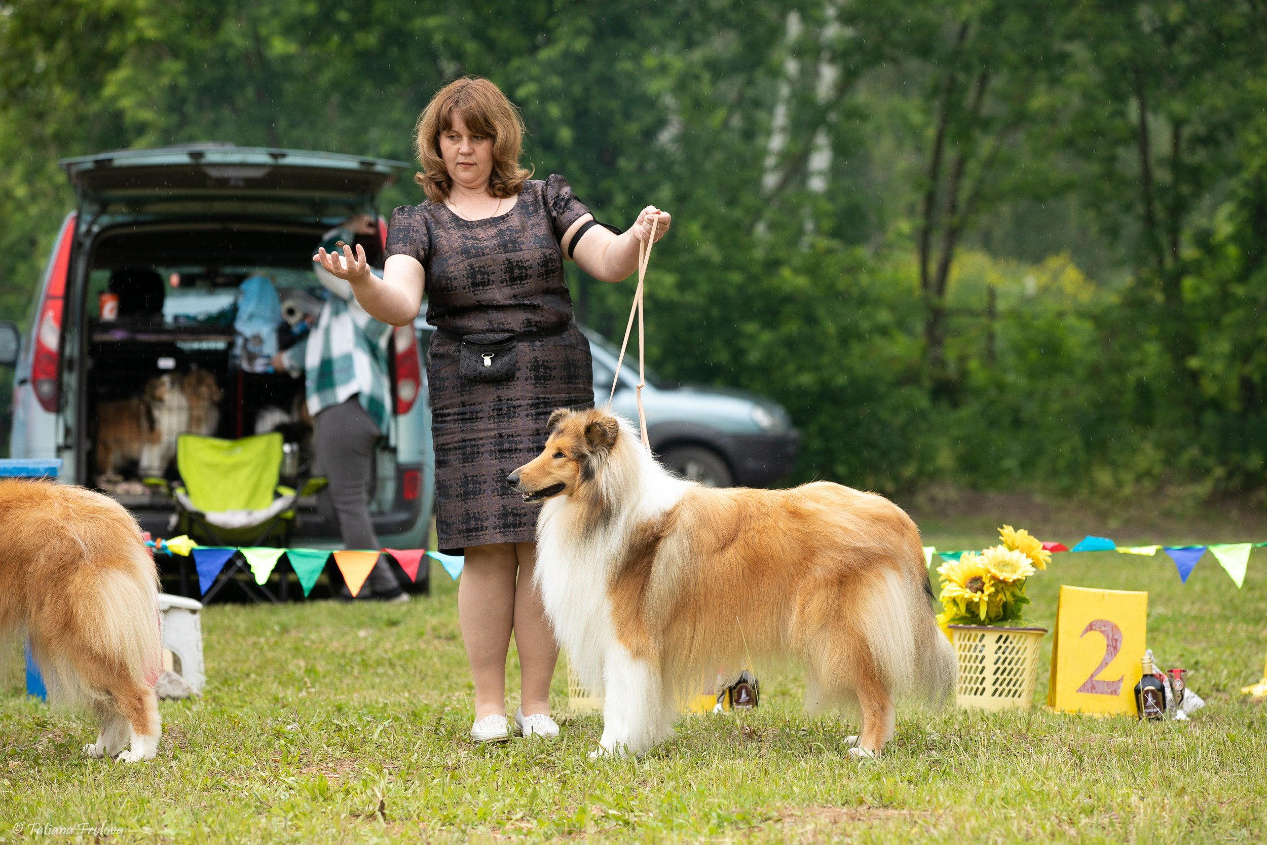 Фотосопровождение выставки собак в Московской области и Москве. Фотограф-анималист в Москве и Московской области Татьяна Фролова