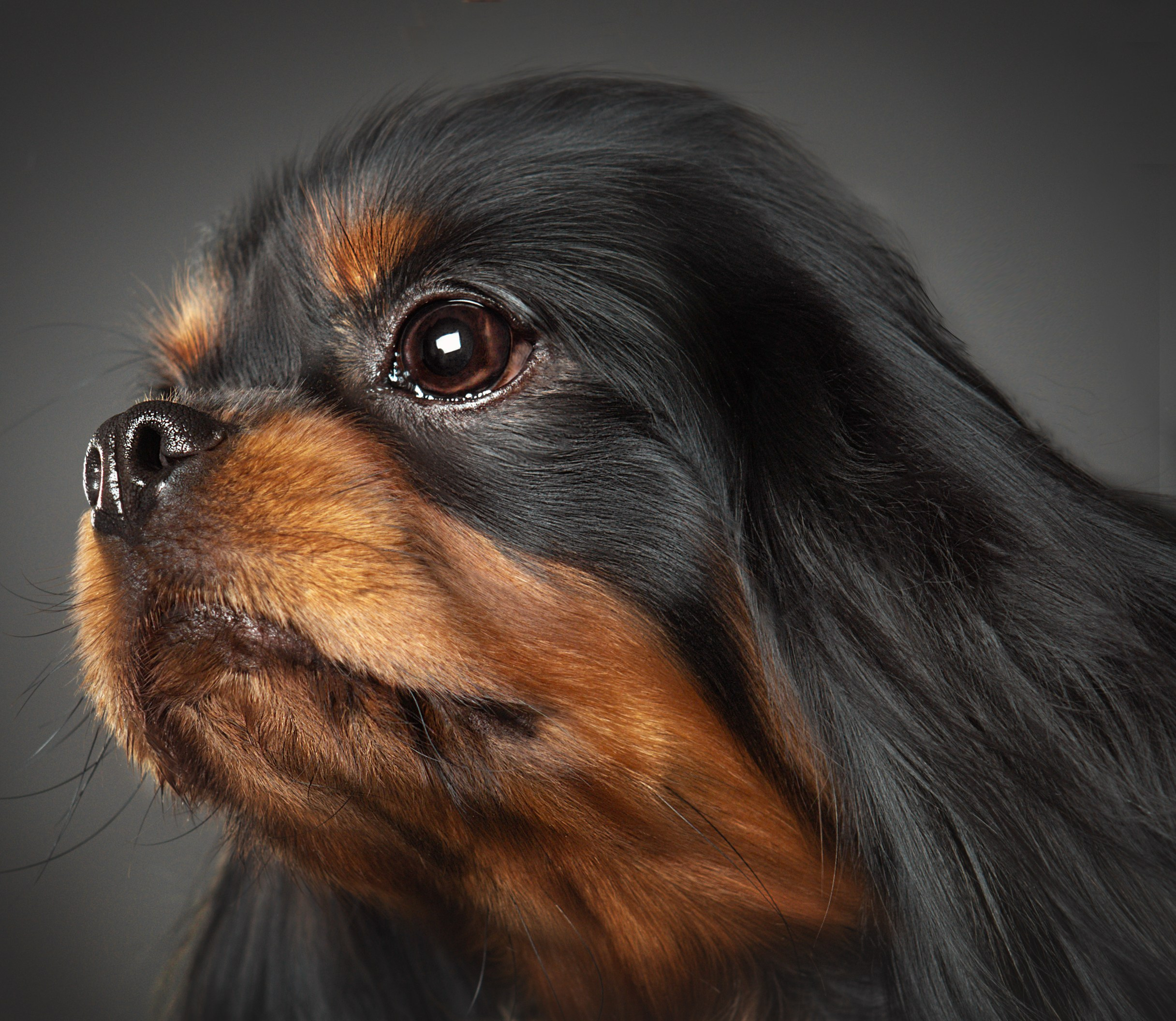 Студия груминга Валерии Кравец